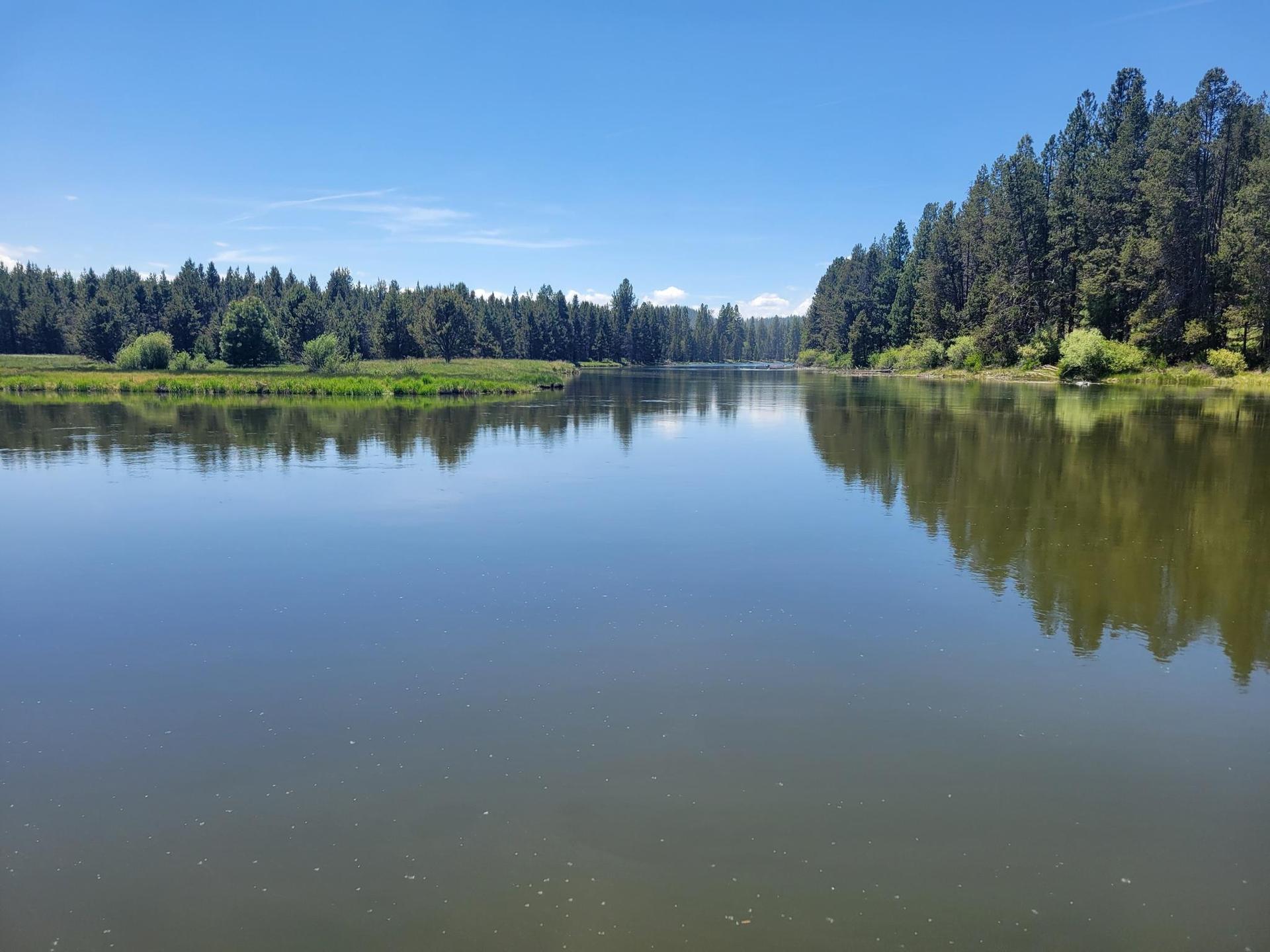 A wide, calm river reflects a dense green forest under a clear blue sky.