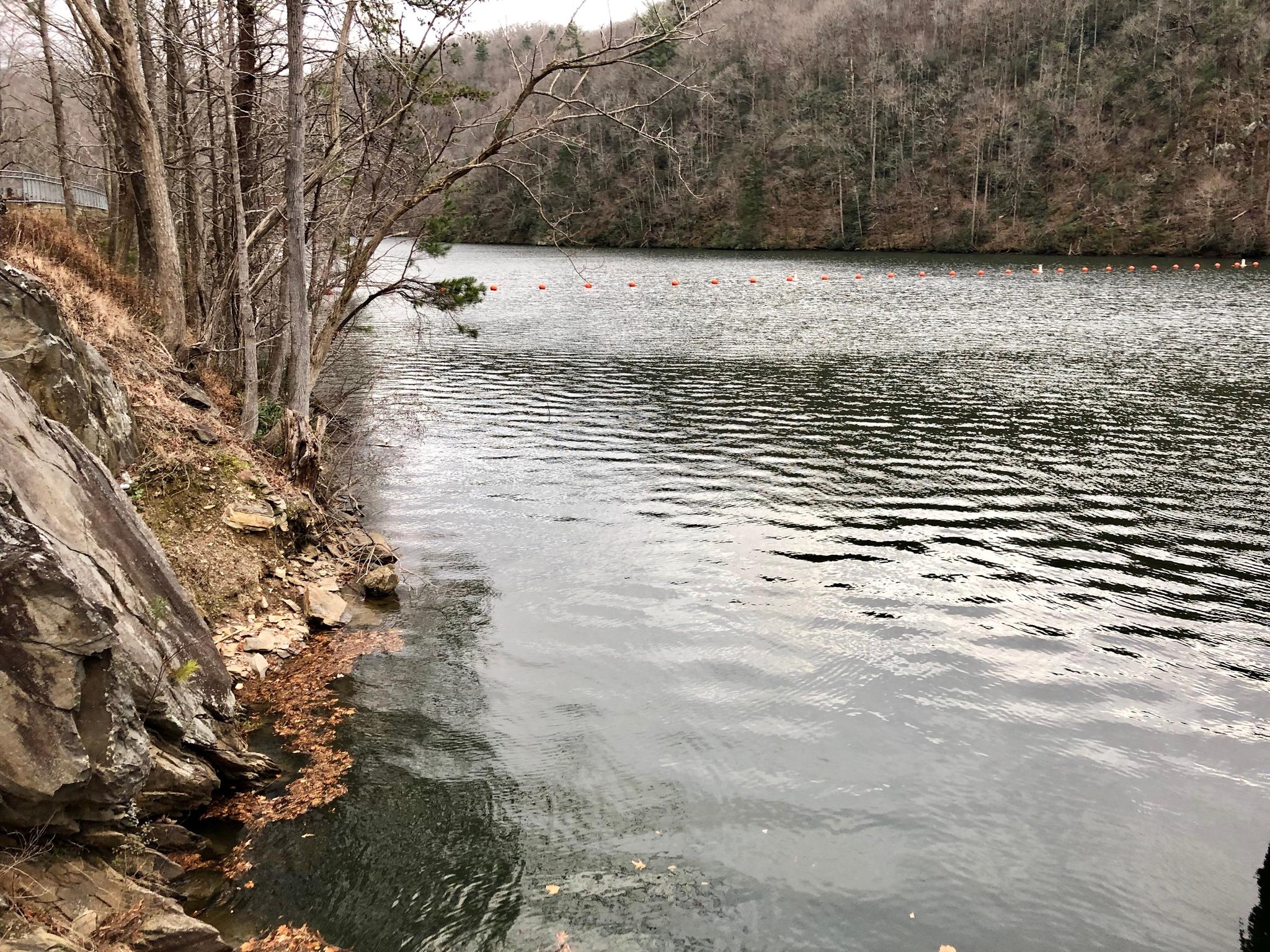 Calm water next to a rocky, wooded shore on an overcast day.
