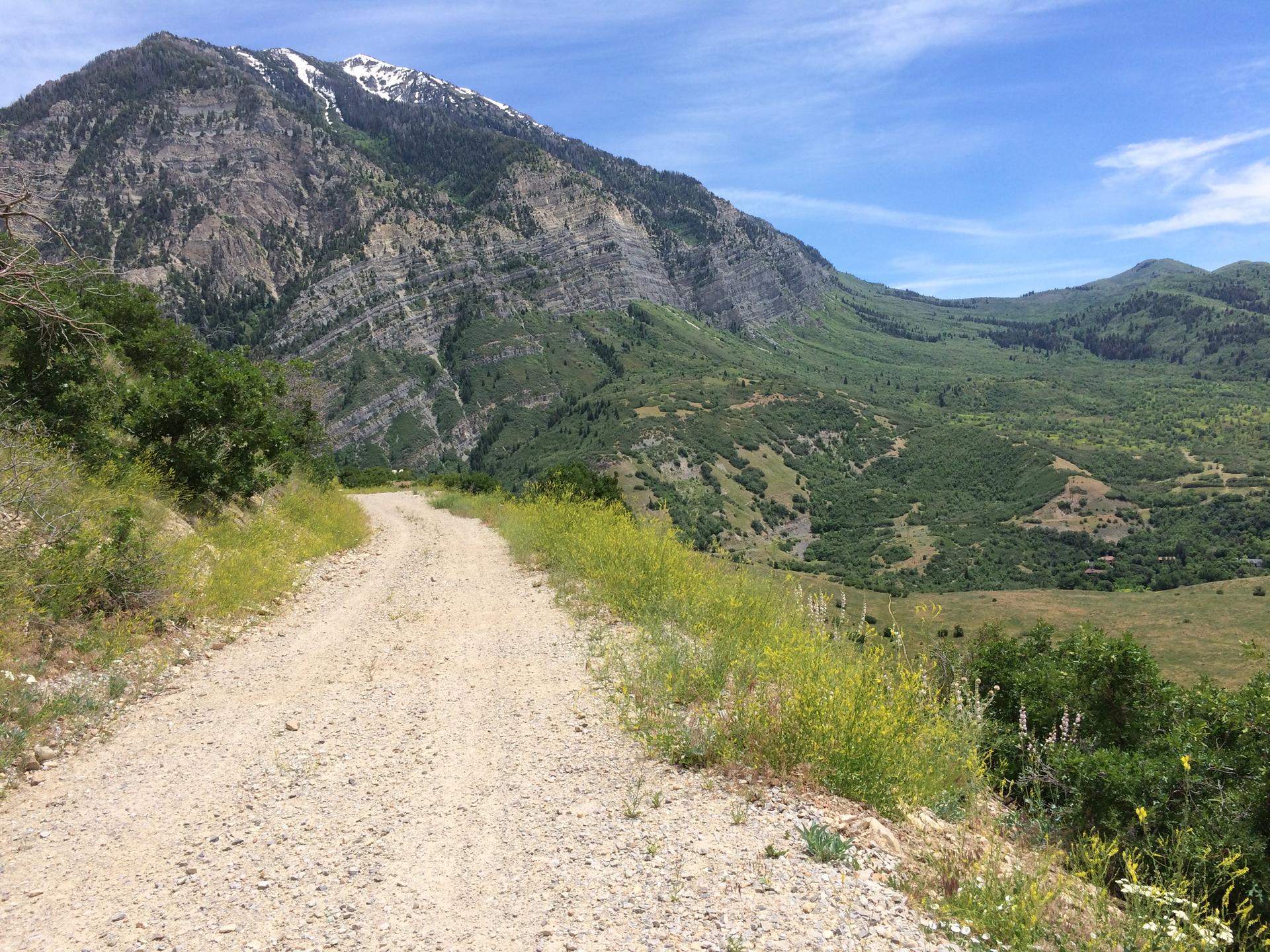 A winding dirt road through green hills, leading to a large mountain.