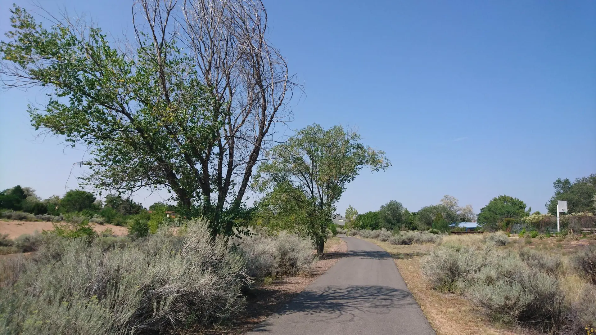 A paved path winds through dense green and dry brush under a clear blue sky.