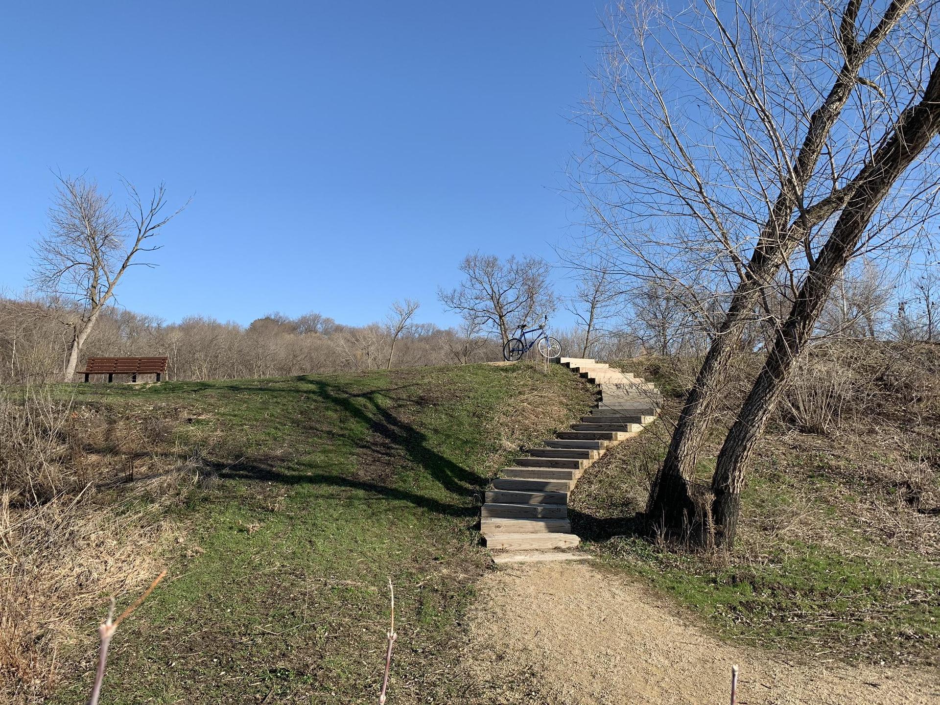 Winding stairs ascend a sunny grassy hill with bare trees and a distant bench.