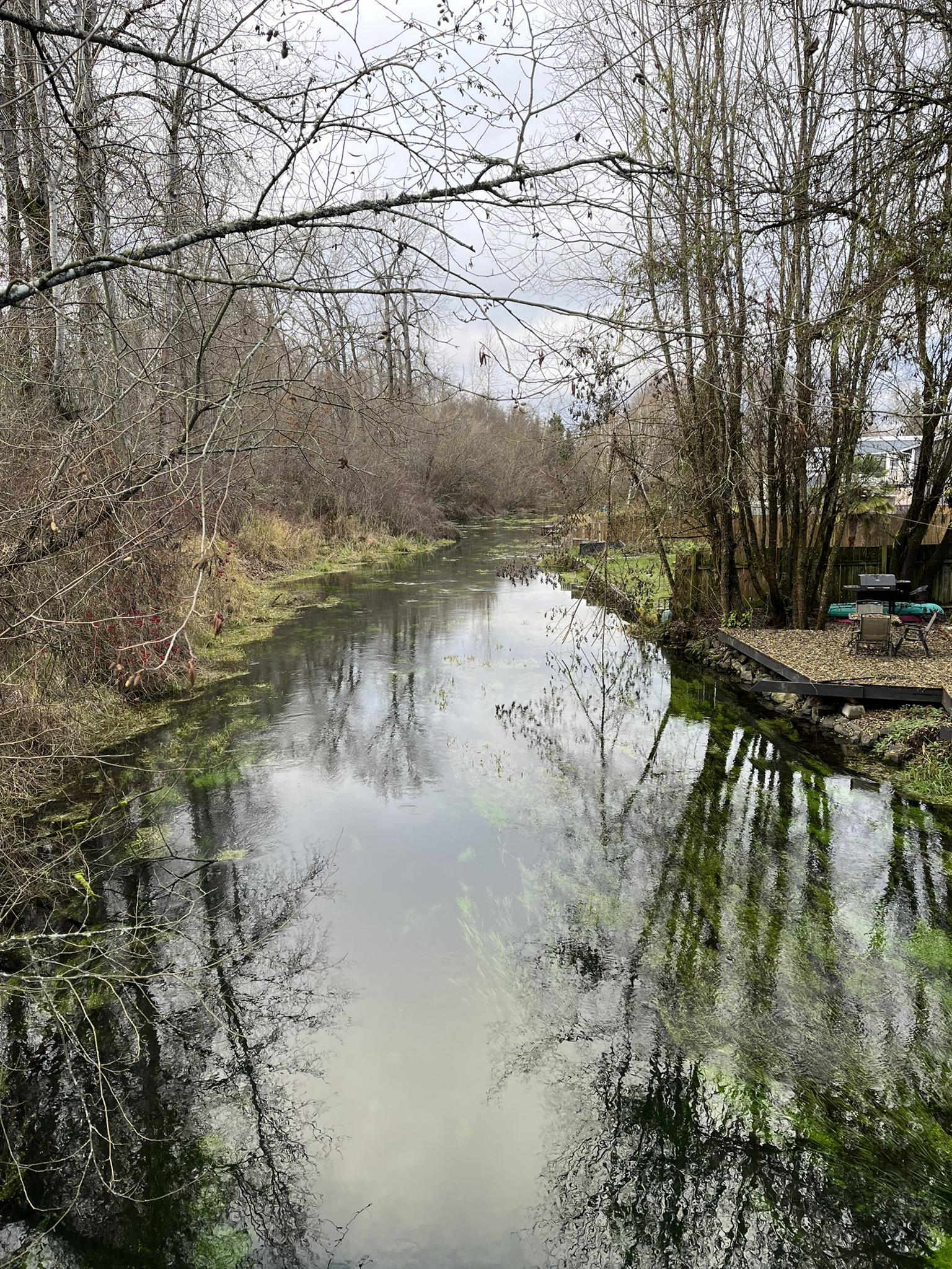 Calm river reflecting bare trees under an overcast sky, with green banks.