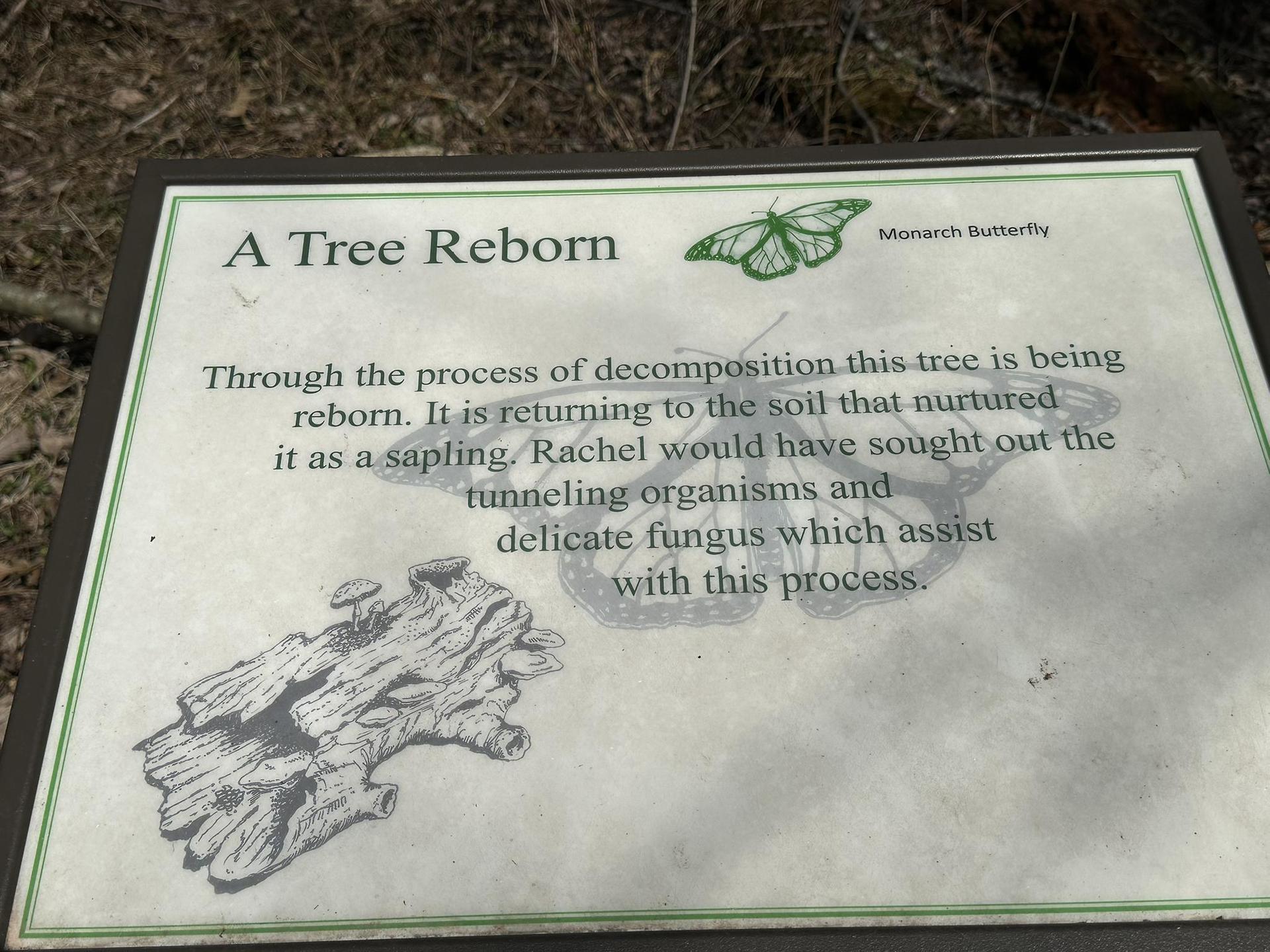 Close-up of an interpretive sign about a decomposing tree and monarch butterfly.