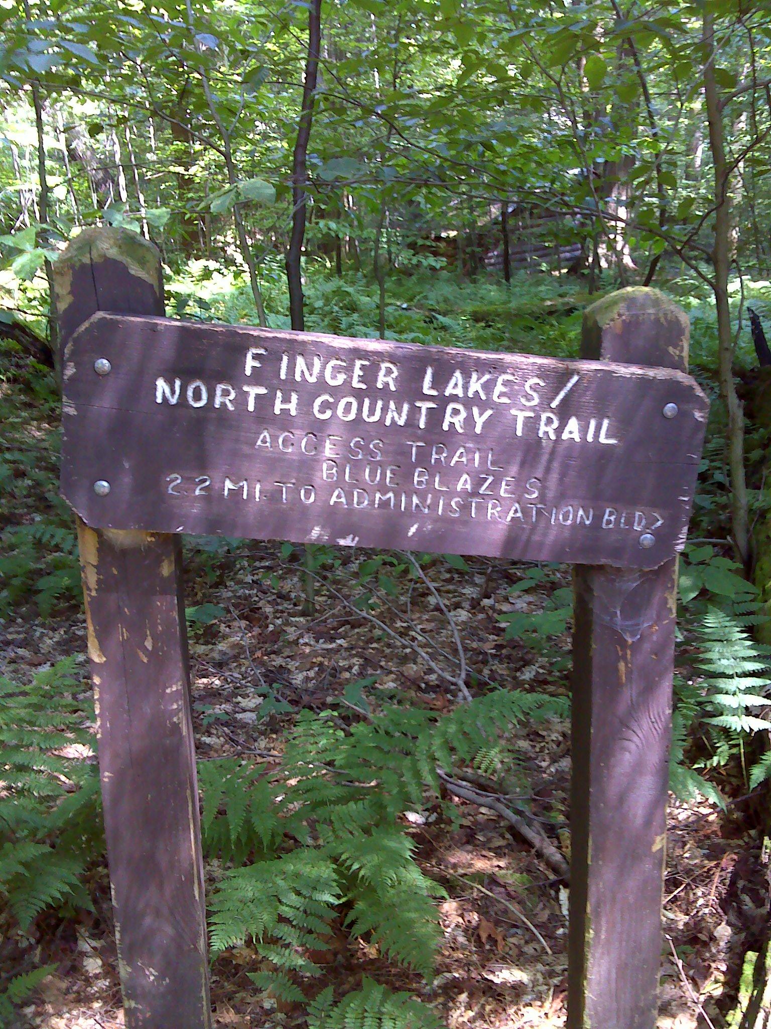 A weathered wooden trail sign stands in a shaded, green forest.