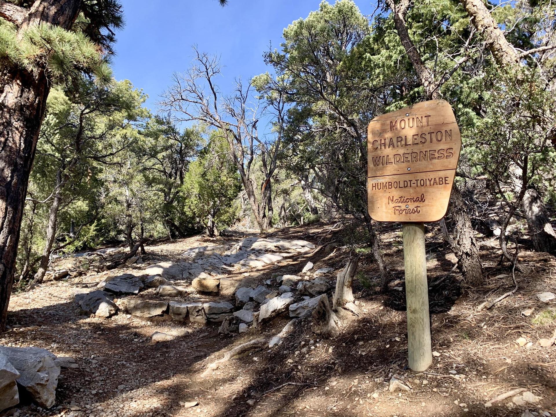 Wooden sign on a dirt path surrounded by trees in bright sunlight.