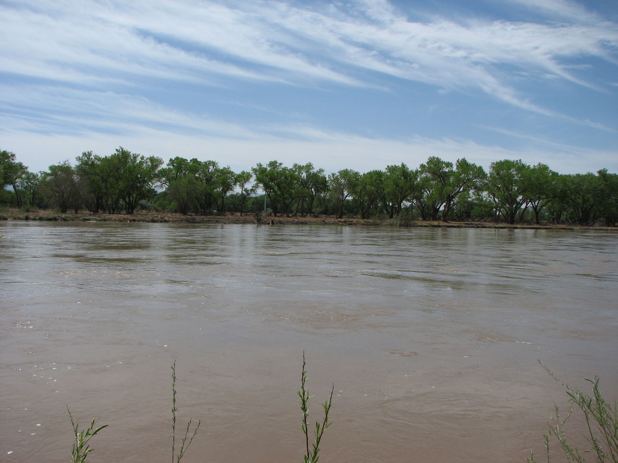 A wide, muddy river flows under a blue sky with trees. - Atrisco Riverside Drain