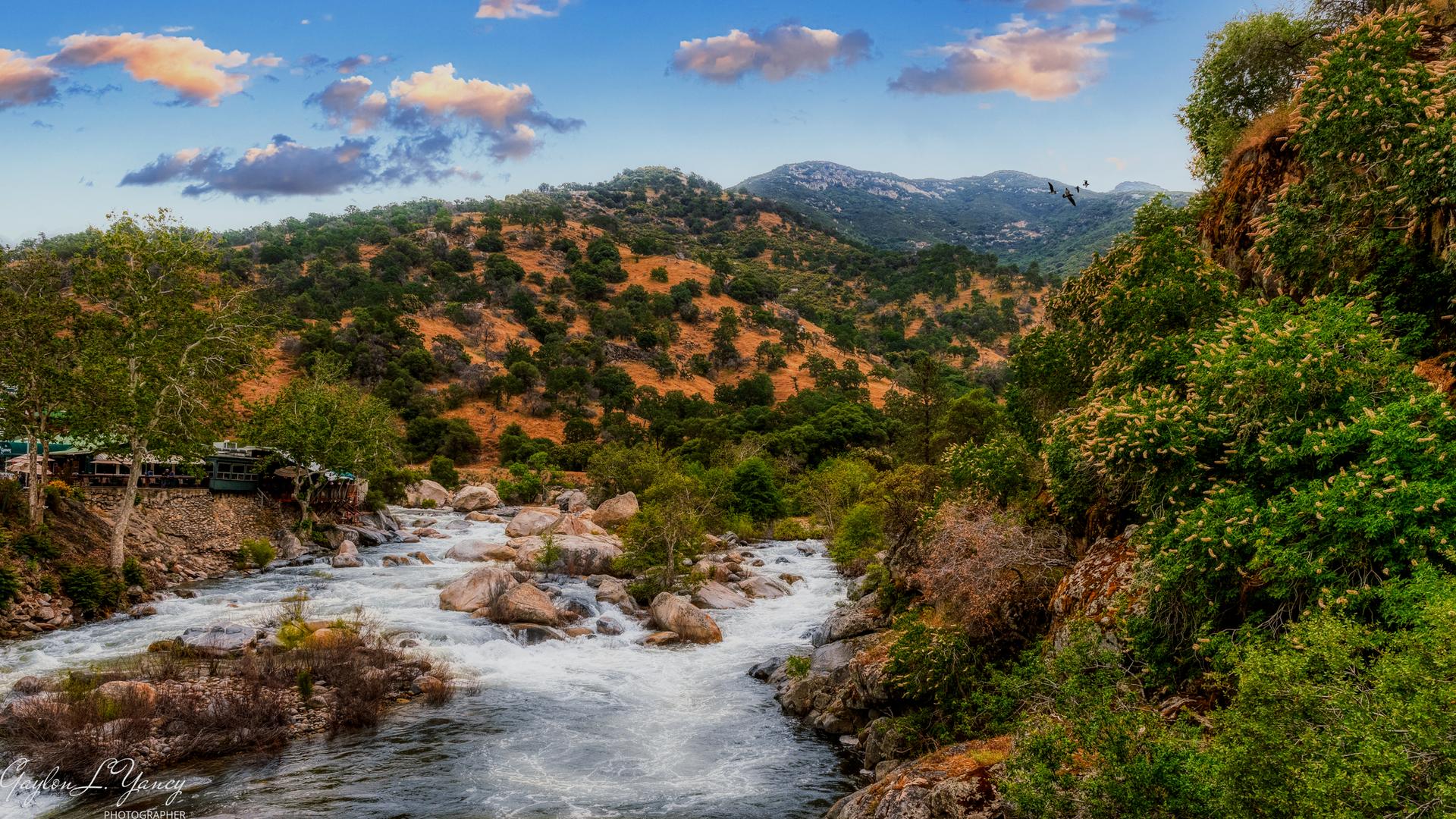 A rocky river winds through green, tree-covered hills under a cloudy sky.