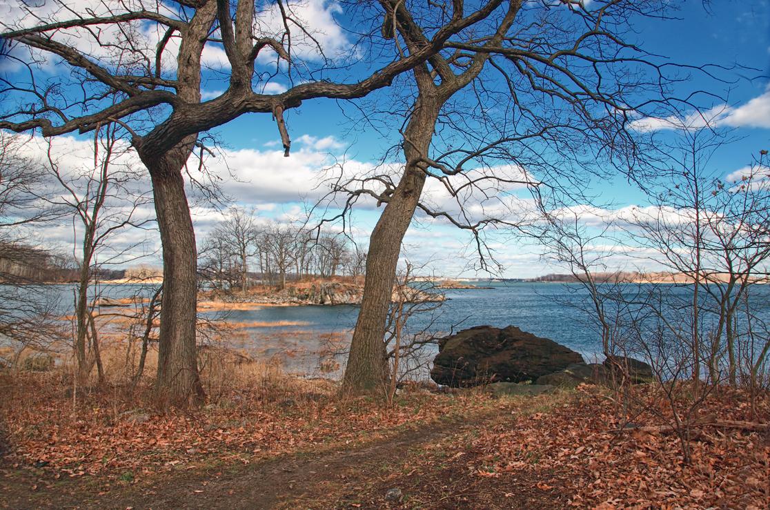 Bare trees frame a wide body of water under a bright, cloudy sky.