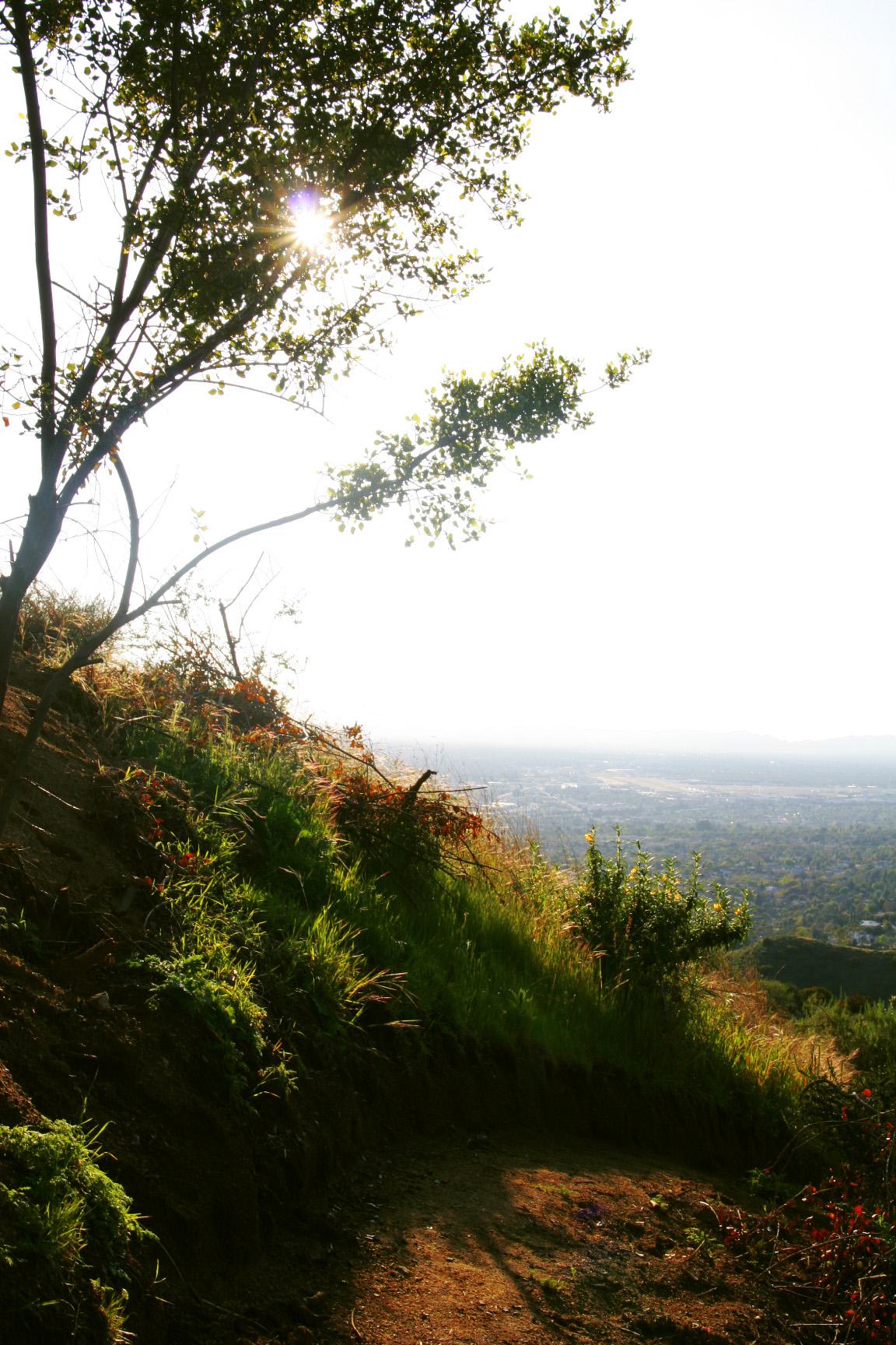 Sunlight flares through a tree over a winding dirt path on a grassy hillside.