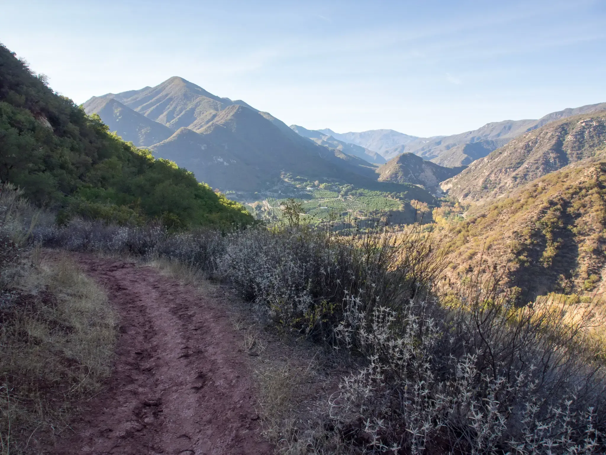 A dirt trail winds along a sunny mountain slope overlooking a green valley. - Cozy Dell and Foothill Trail Loop