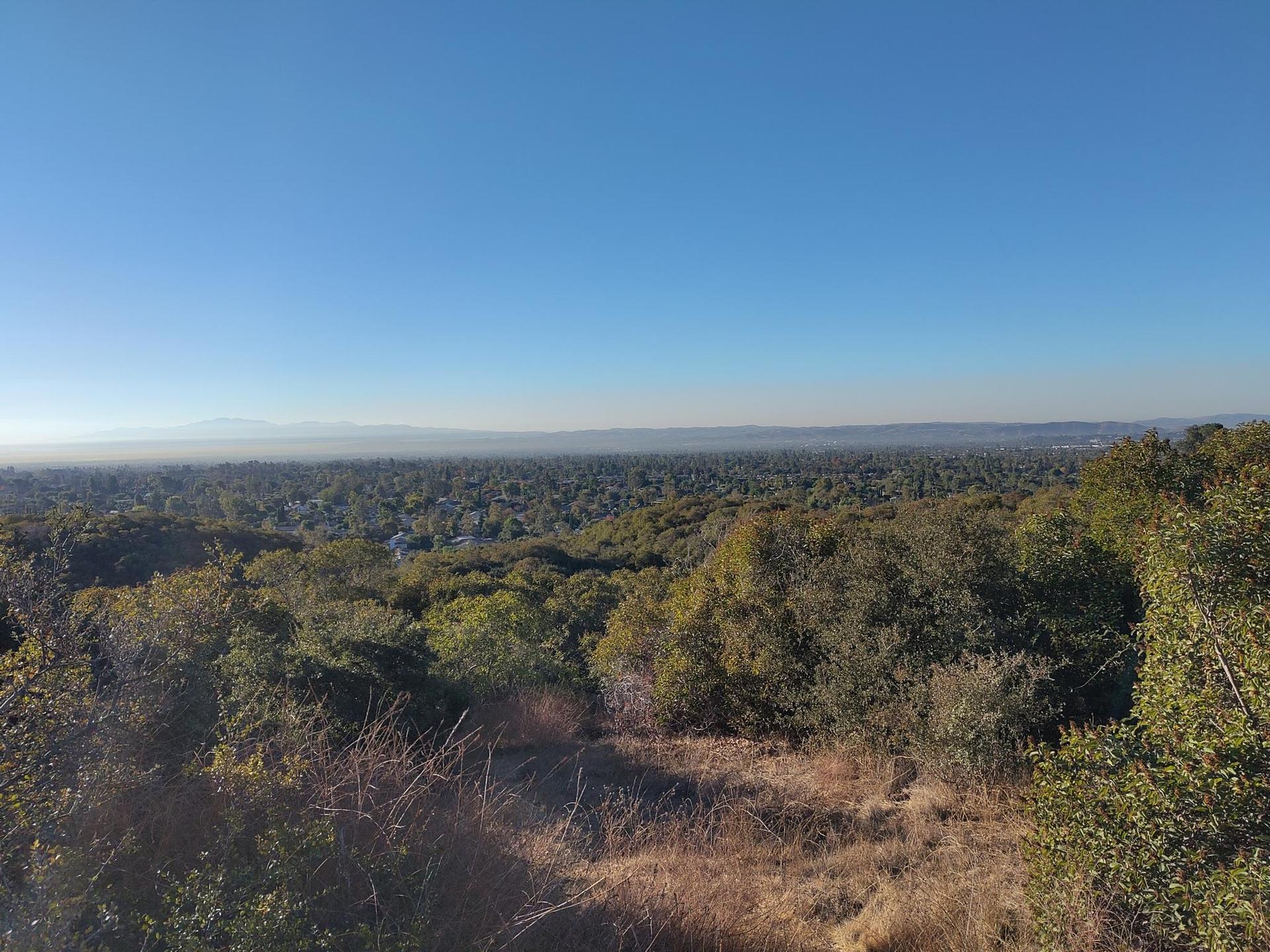 Panoramic view over a dense green forest extending to a hazy horizon.