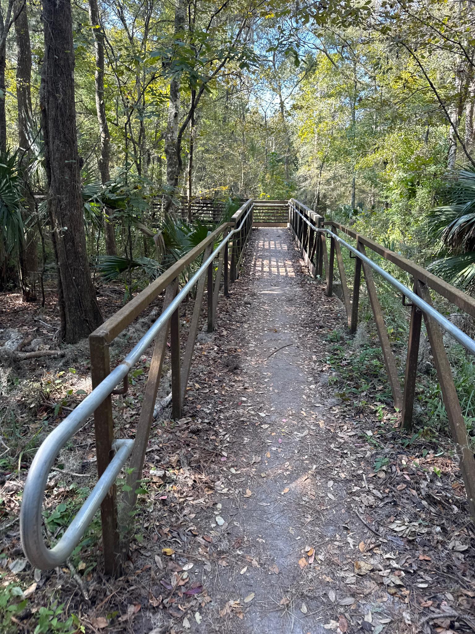 A sunny forest path leads to a wooden boardwalk with metal railings.