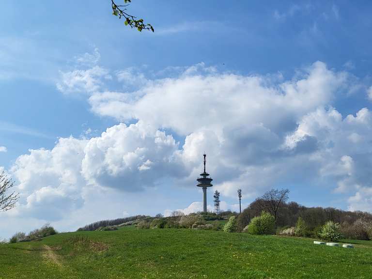 Köterberg – Gipfel und Aussichtspunkt – Köterberg Runde von Hummersen ...