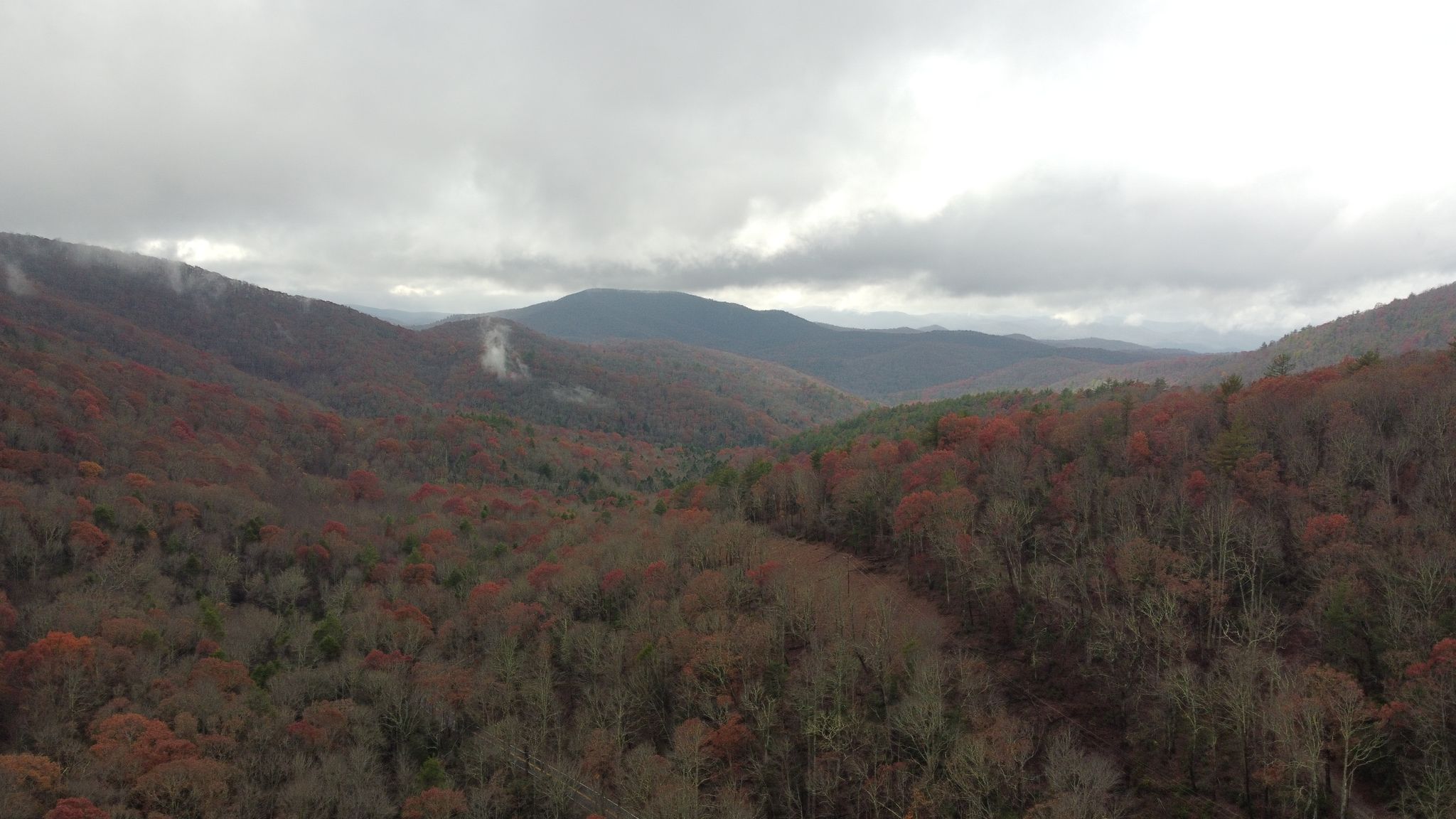 Overcast view of mountains covered in dense forest with autumn foliage. - Coosa Backcountry Trail