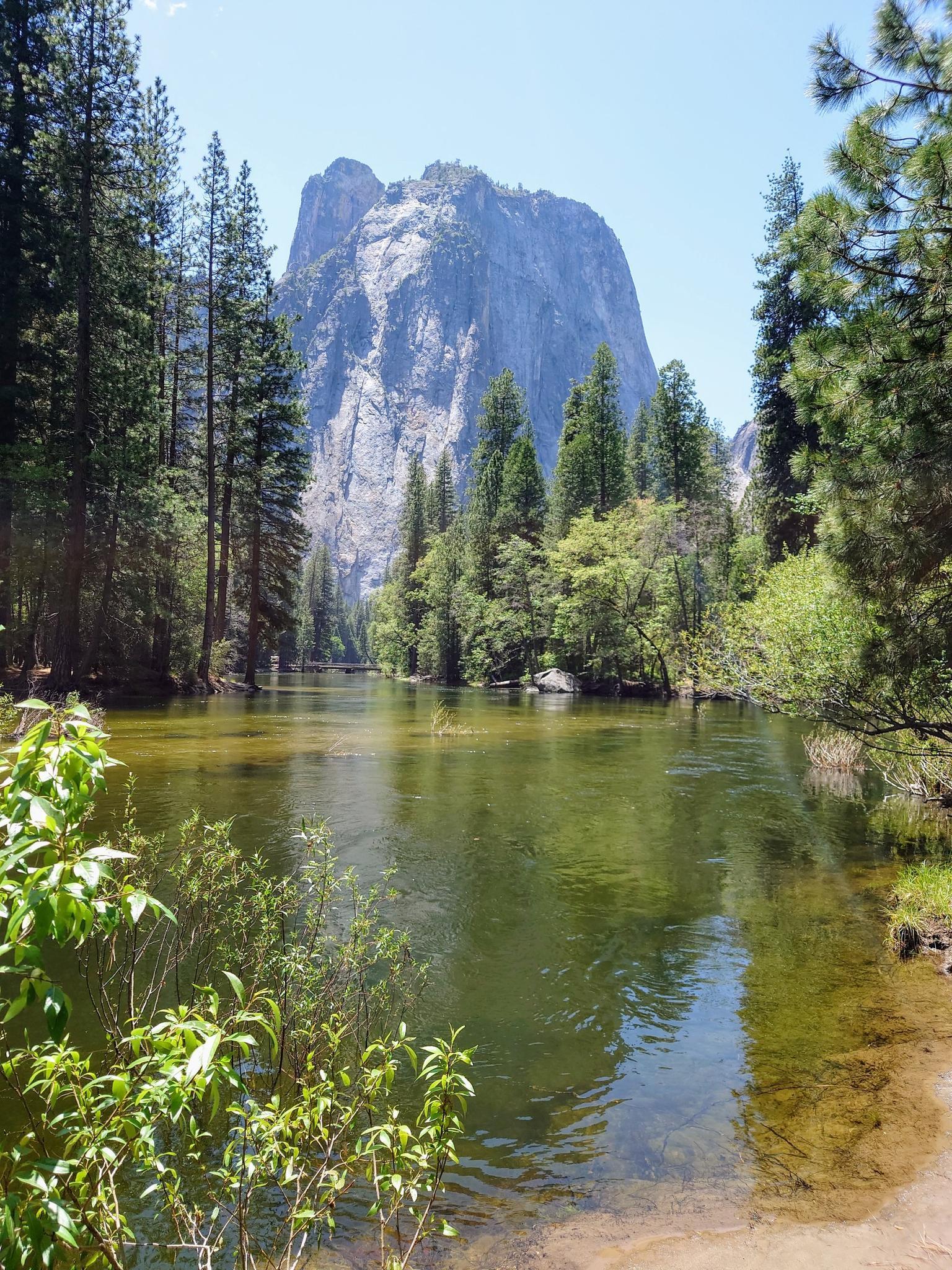 A river flows past tall trees towards a huge sunlit rock formation.
