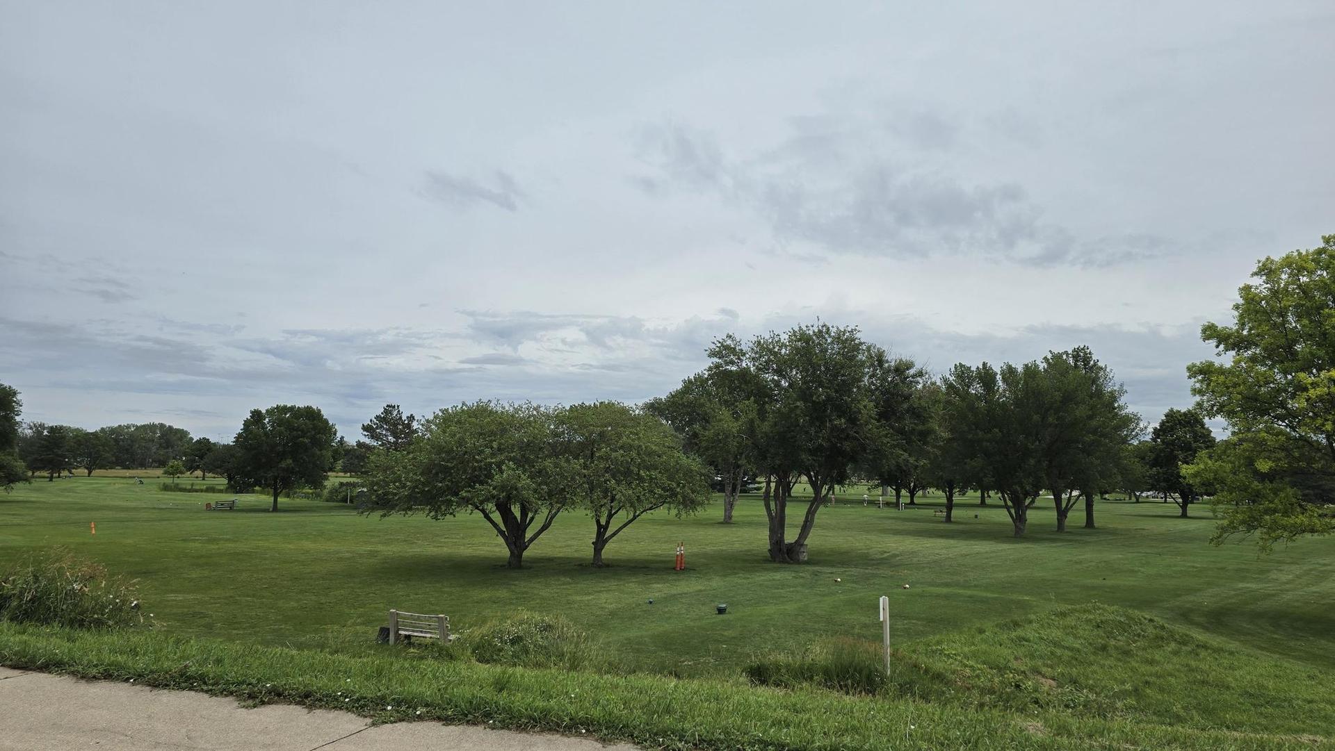 A wide green field with scattered trees under a cloudy sky.