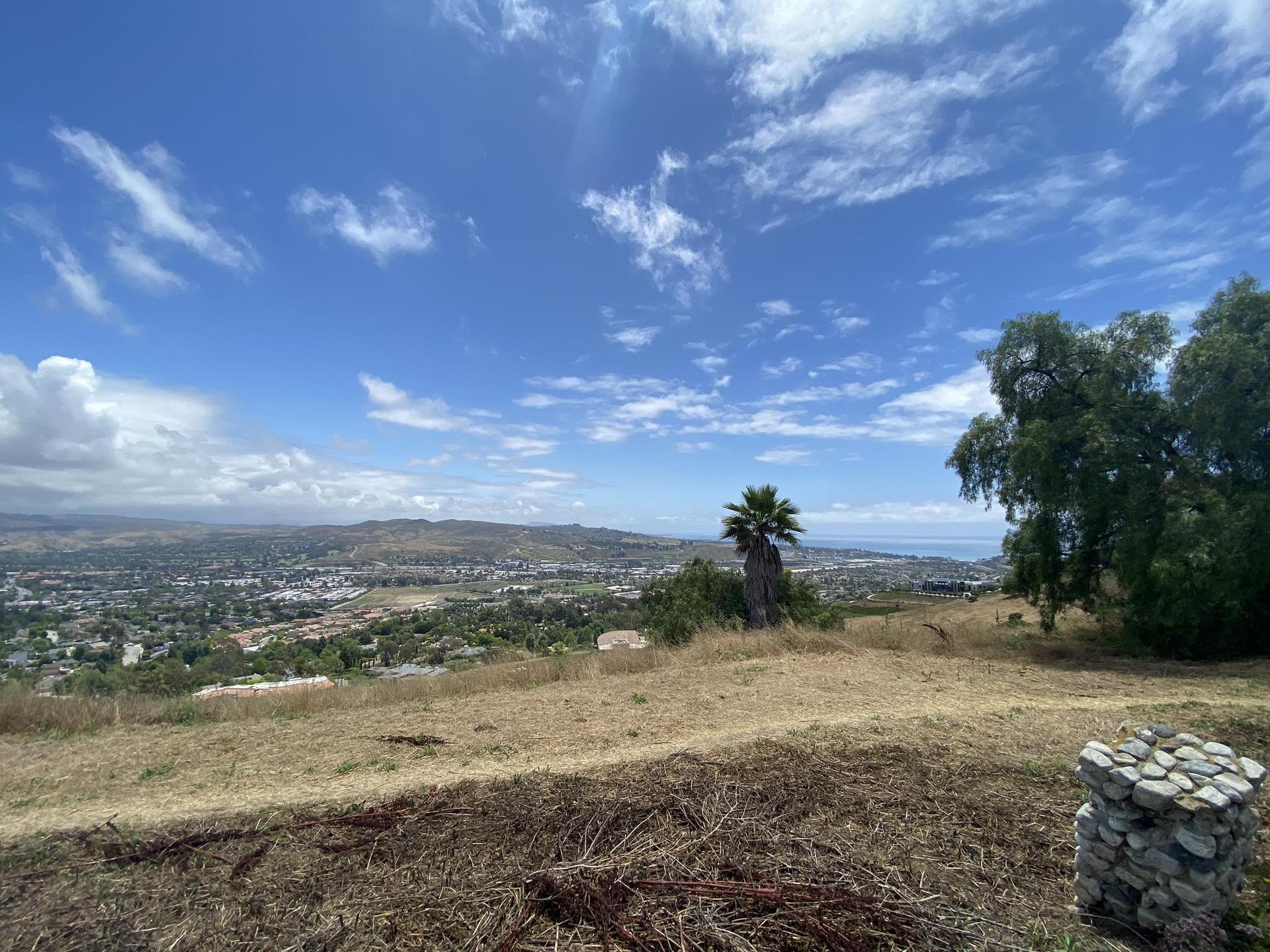 Grassy hilltop with a palm tree, overlooking a city and distant ocean.