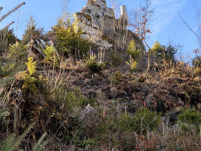 Felsen im Aubachtal > ein Geotop: Wanderungen und Rundwege | komoot