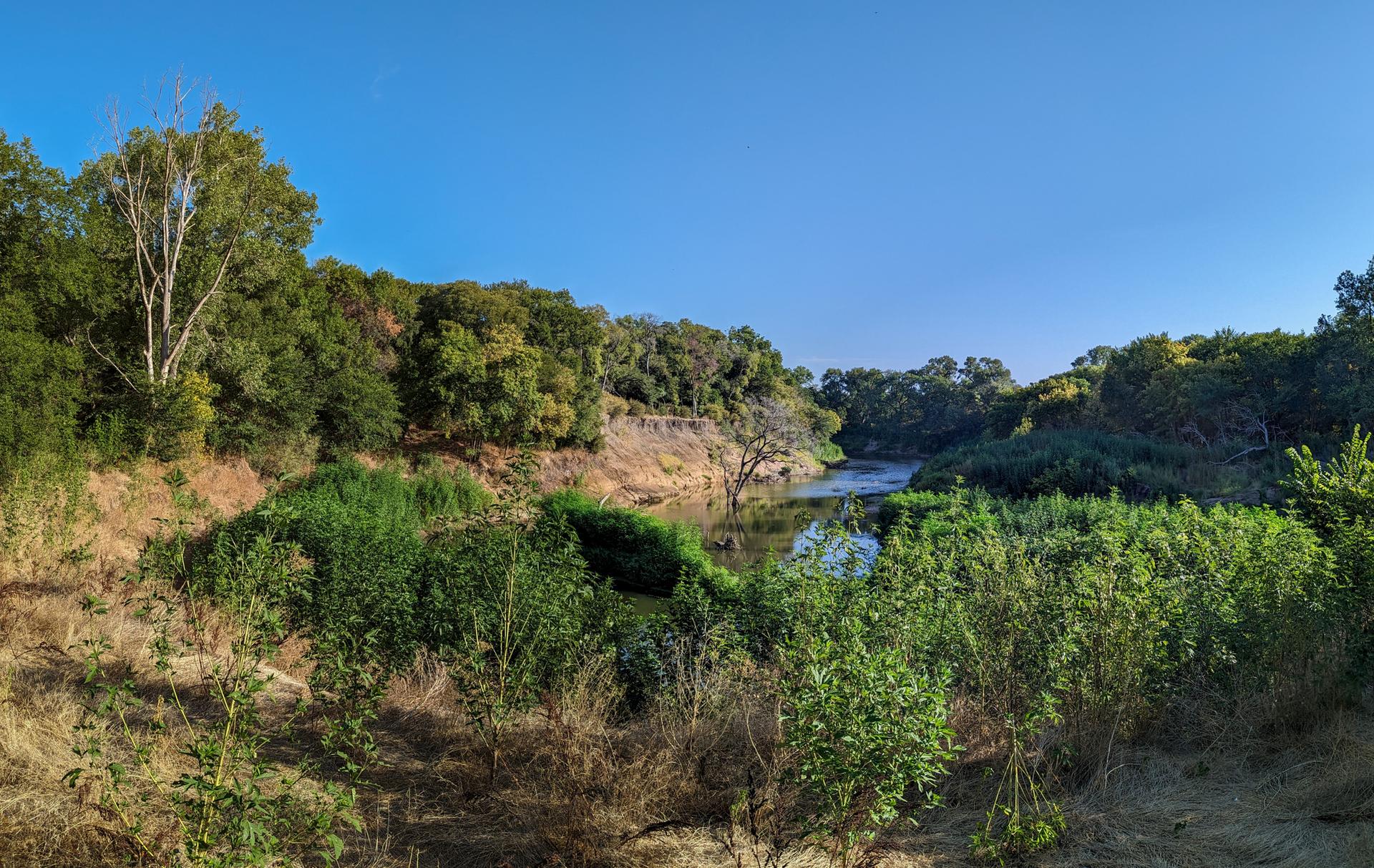 A winding river flows through lush green trees under a clear blue sky.
