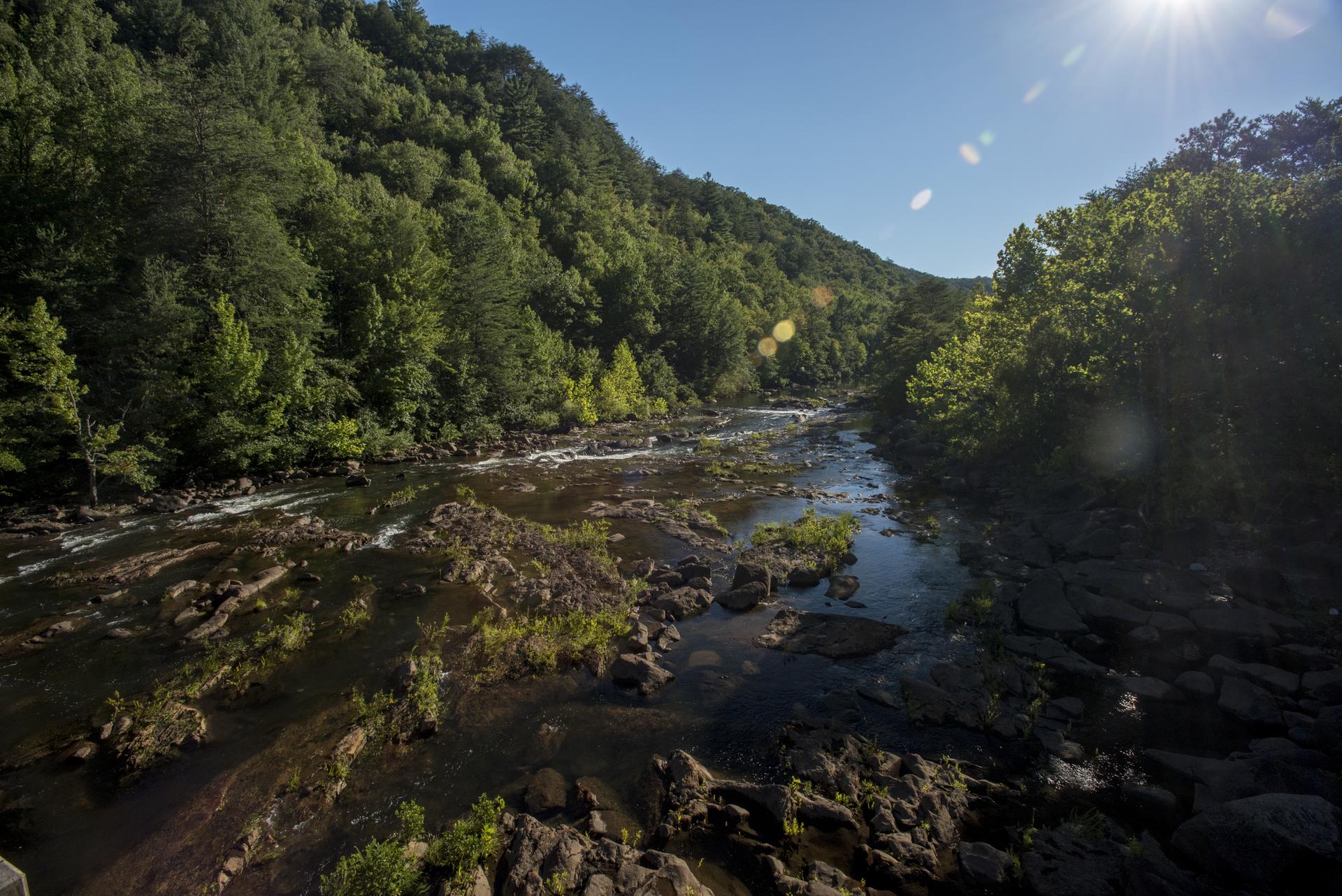 A rocky river flows through a lush green forested valley on a sunny day.