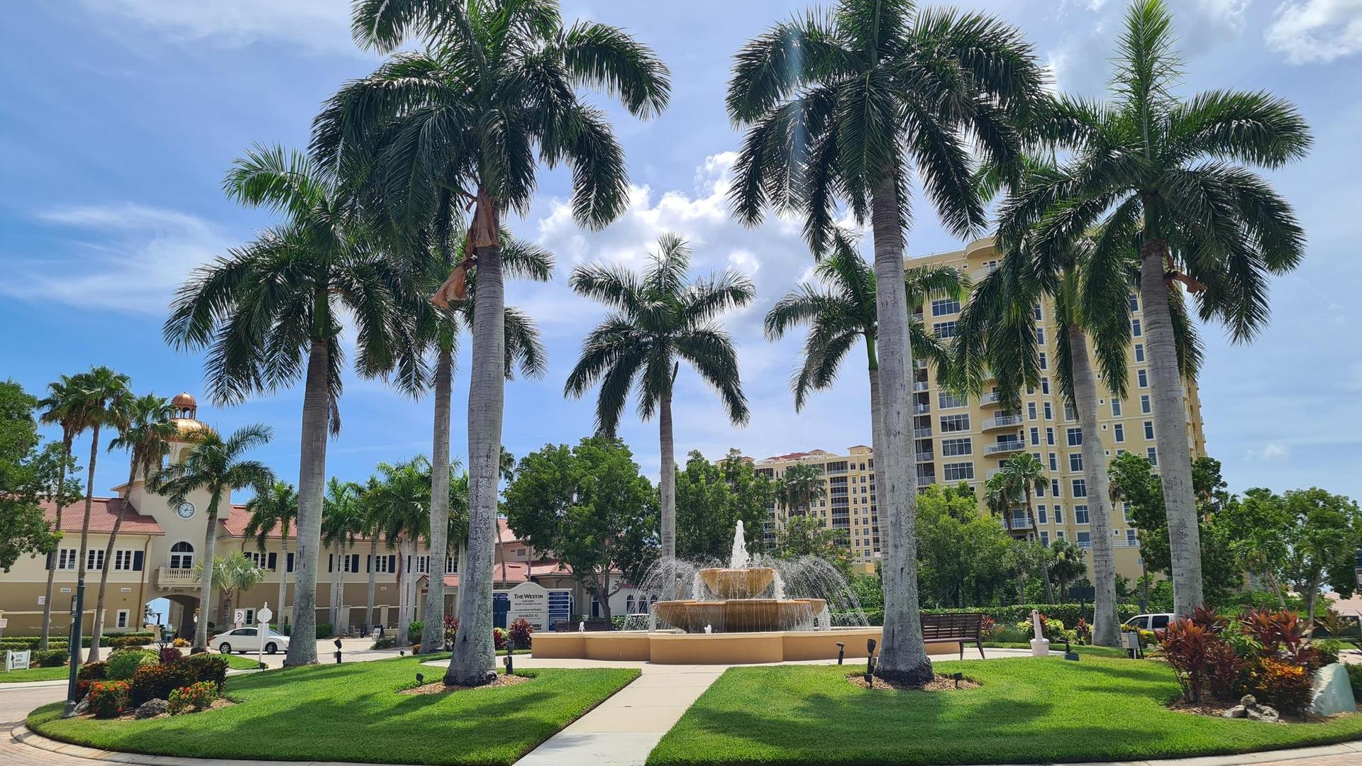 Tall palm trees surround a fountain in front of large buildings.