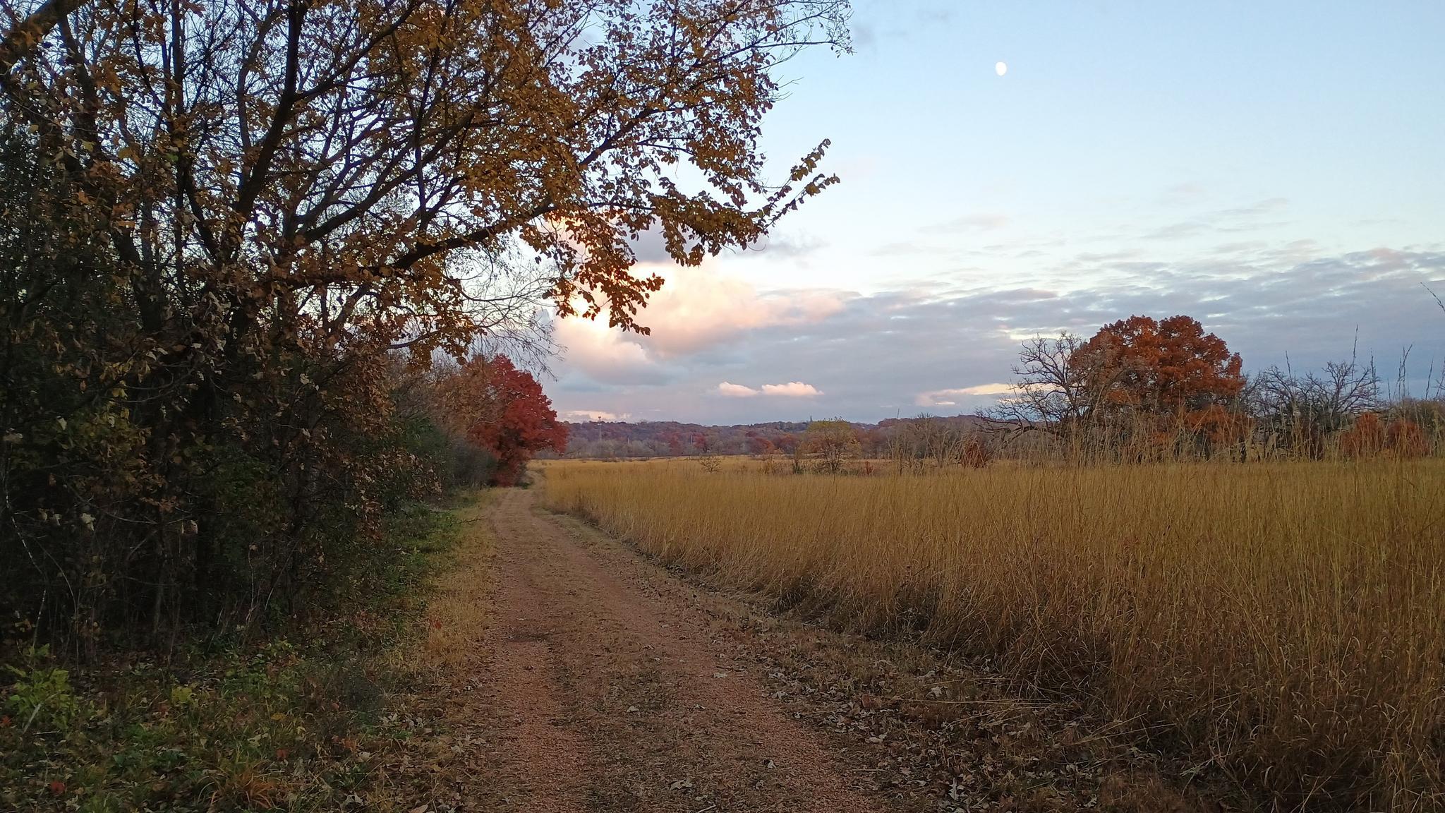 Dirt path through golden fields and autumn trees at dusk with moon.