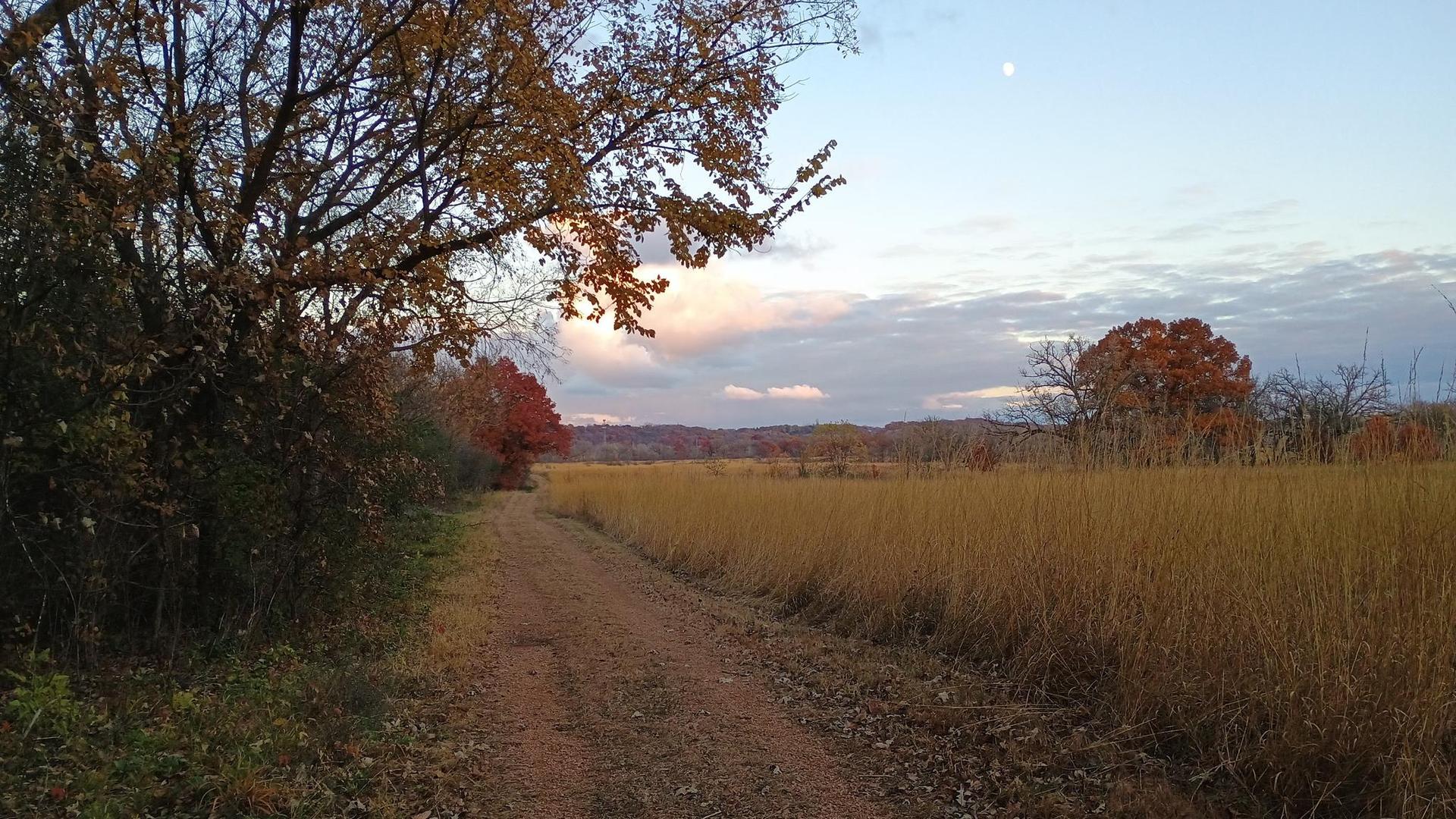 Dirt path through golden fields and autumn trees at dusk with moon.