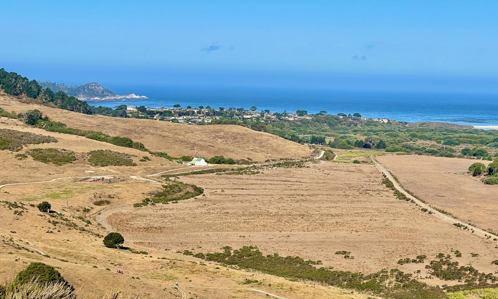 Golden hills slope towards a bright blue ocean under a clear sky.
