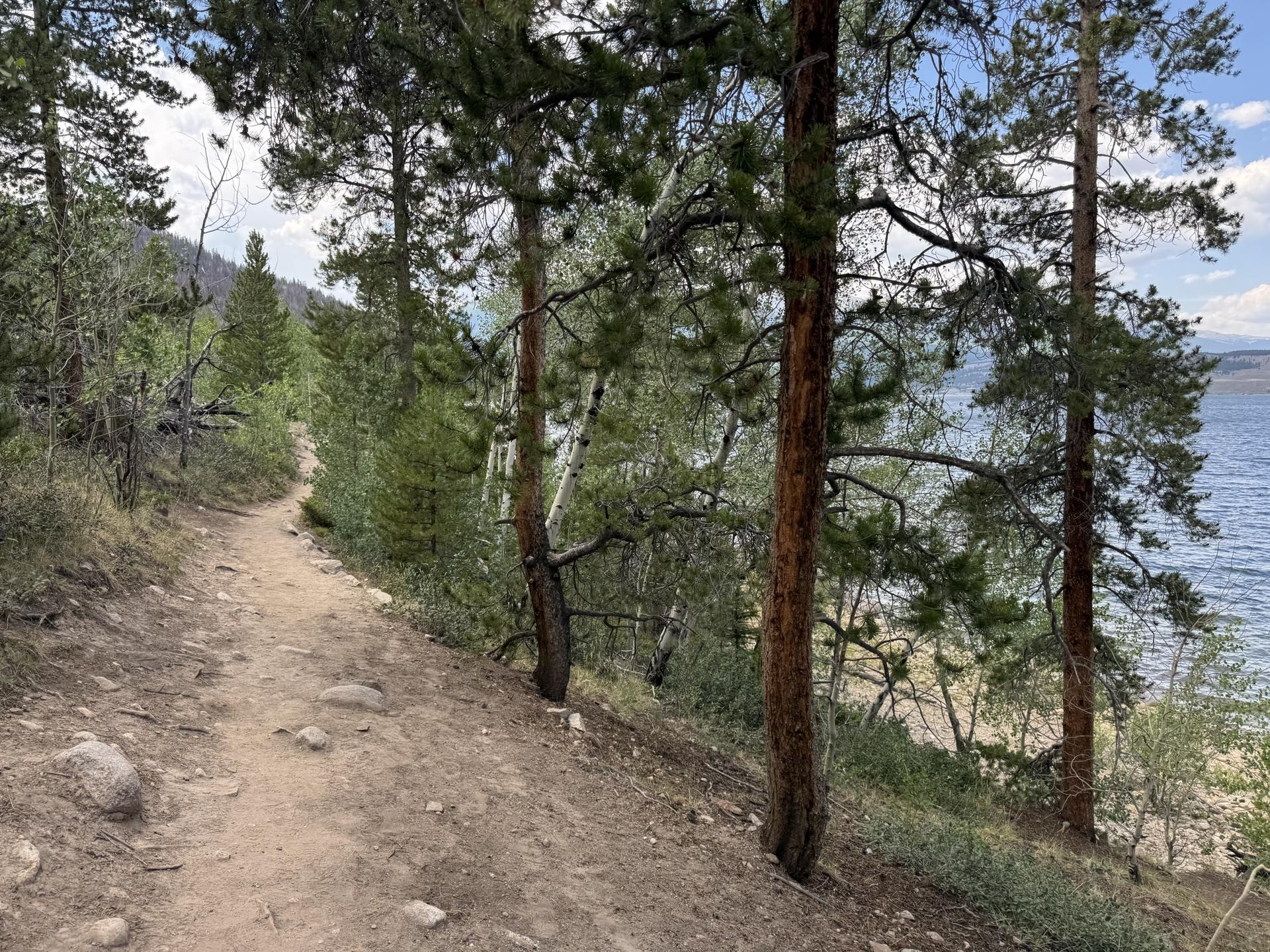 Dirt trail winding alongside a lake, with tall trees and green foliage.