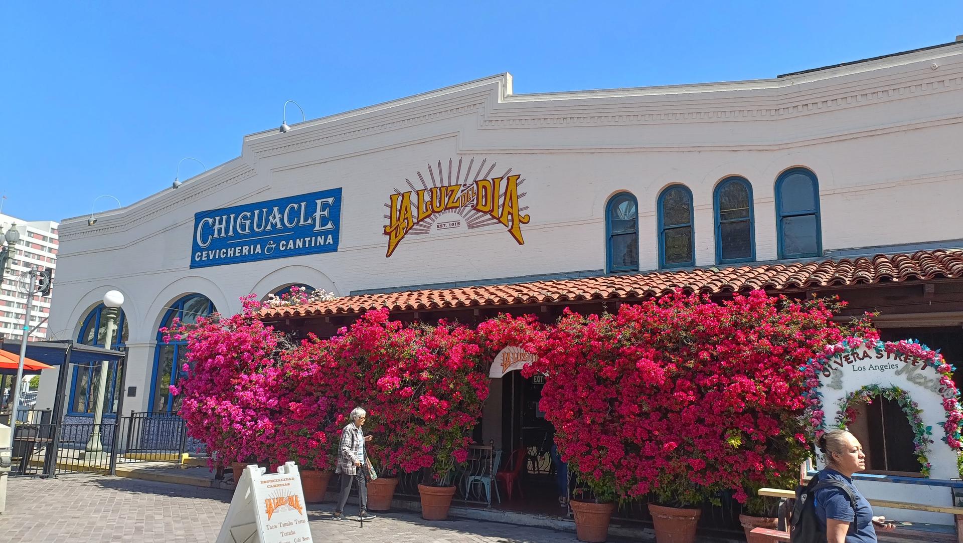 White building with vibrant red bougainvillea bushes and people walking.