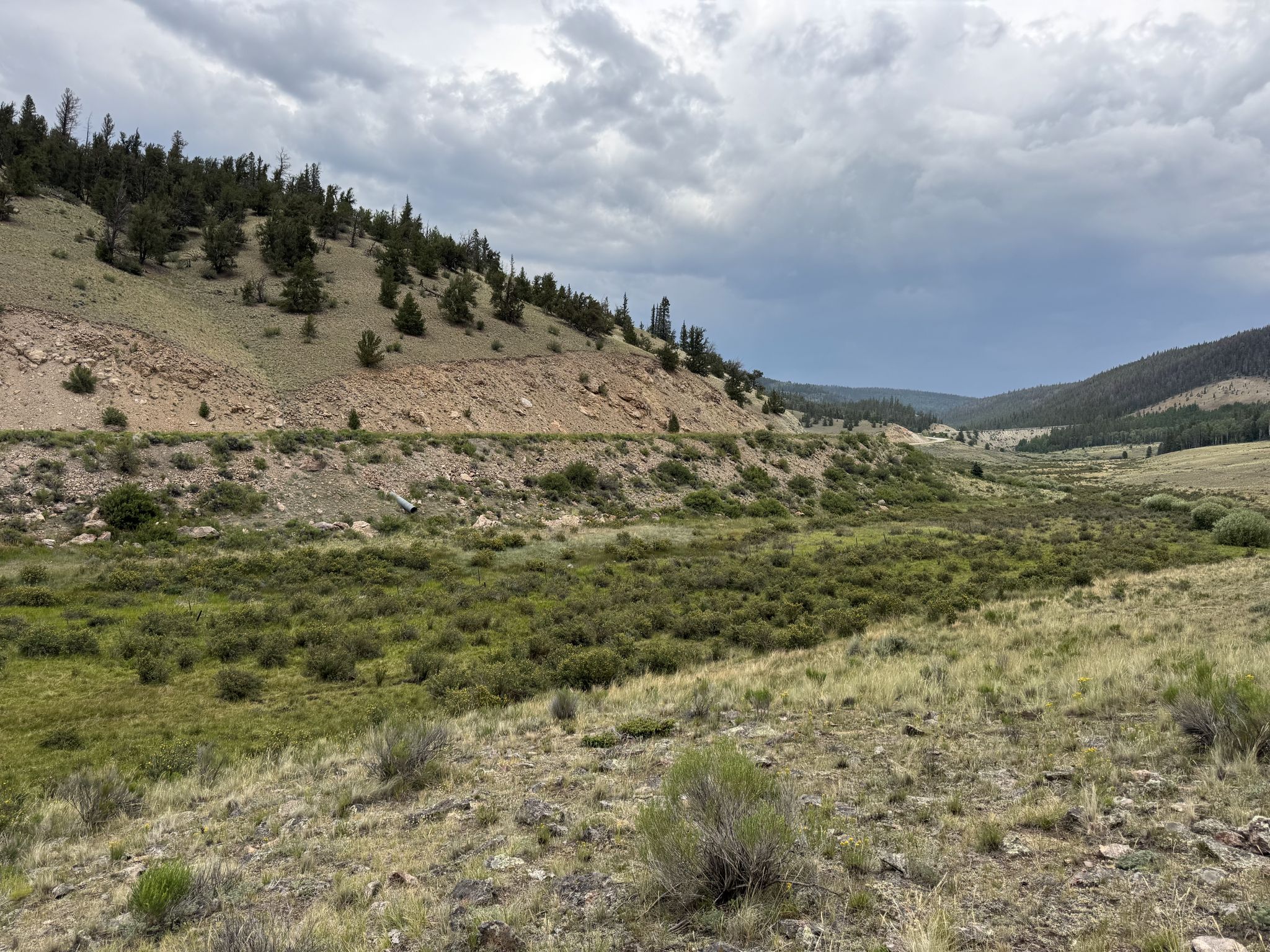 A wide valley with rocky hills and green vegetation under an overcast sky. - Colorado Trail: Segment 18