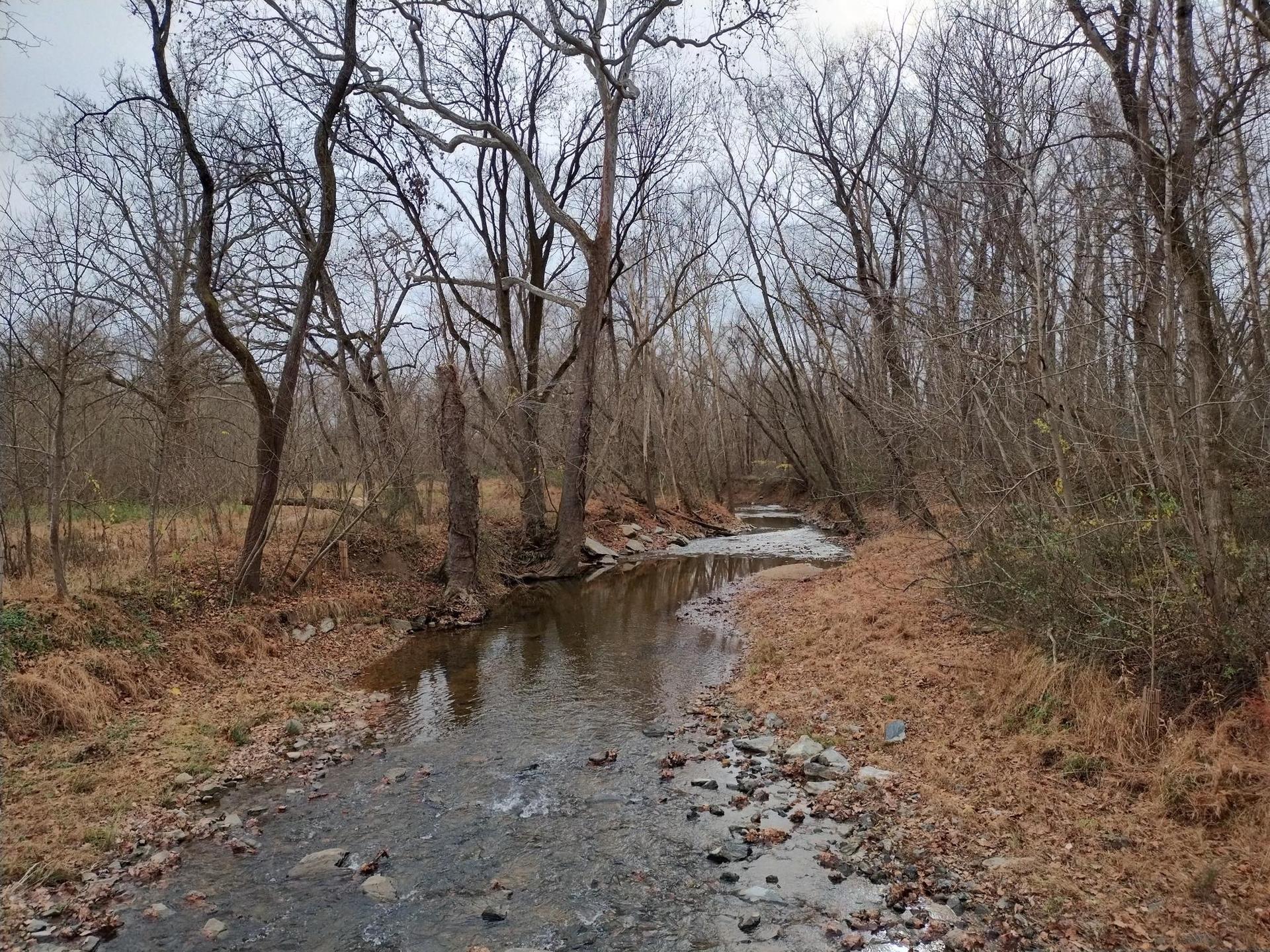 A rocky stream flows through a bare winter forest under a gray sky.