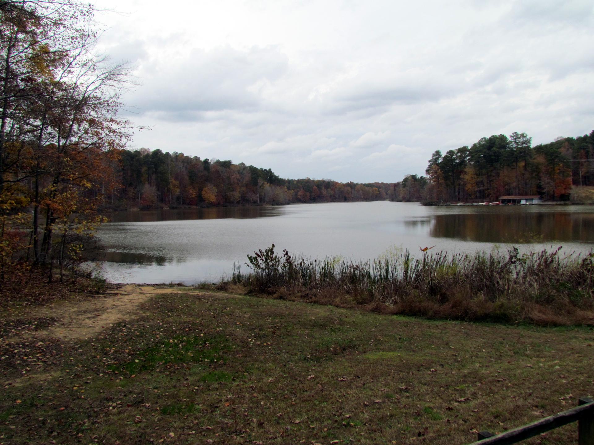 Overcast autumn day overlooking a lake surrounded by colorful trees and reeds.