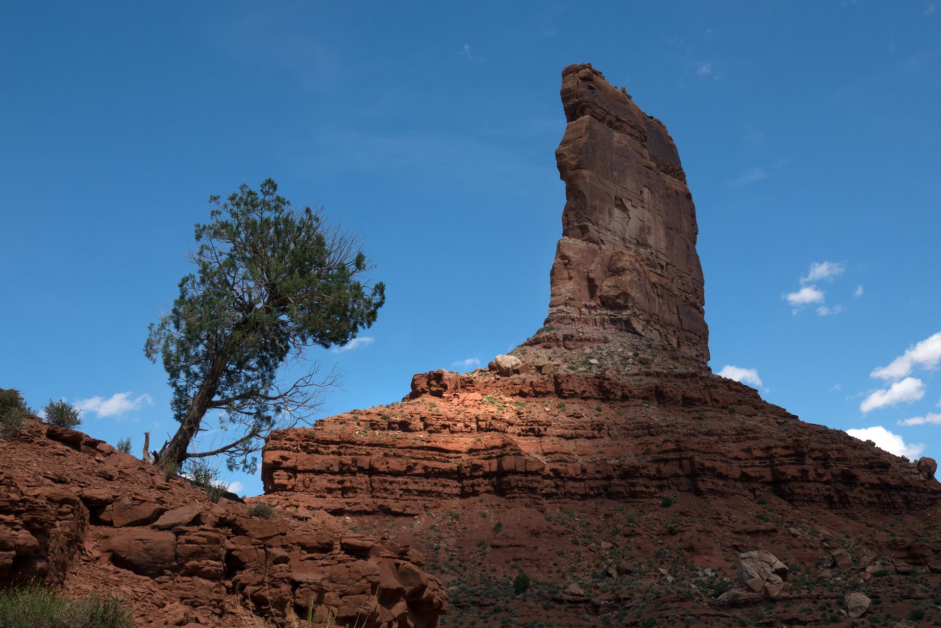 Sunlit red rock tower and a green tree against a clear blue sky.