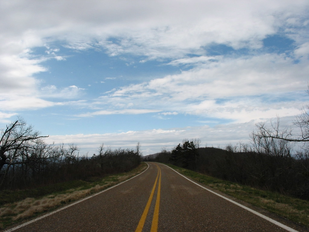 An empty, winding road stretches through a landscape of bare trees.