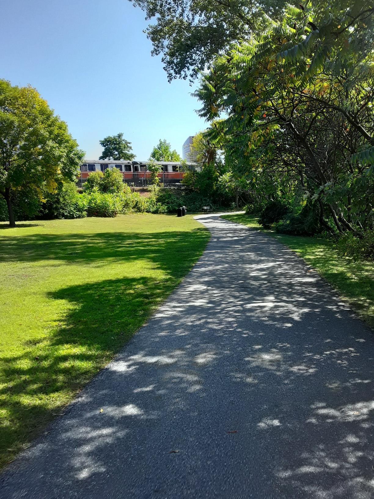 Paved park path with dappled sunlight, green grass, and distant train.