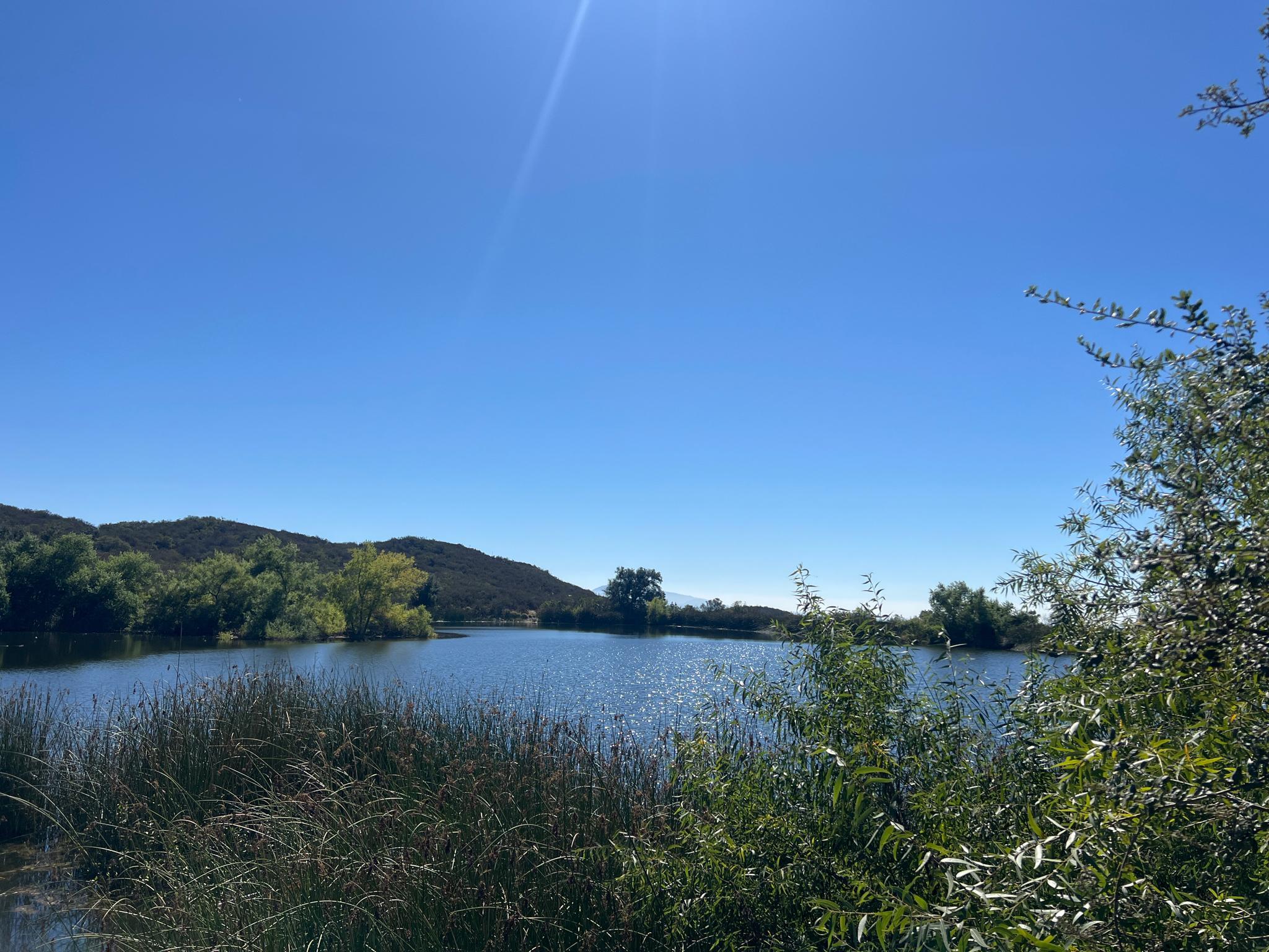 Serene lake surrounded by green hills and trees under a bright blue sky.