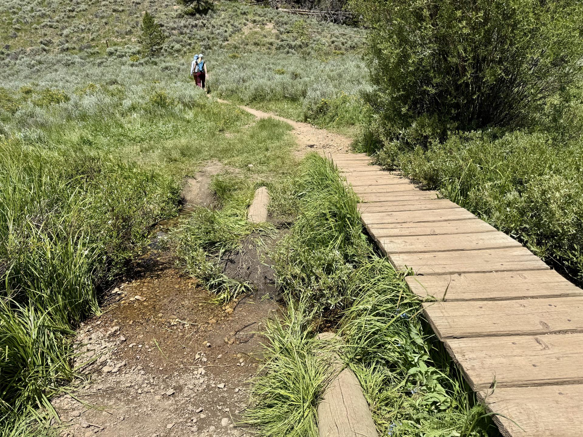 Hiker on a dirt path next to a wooden boardwalk through green grass.