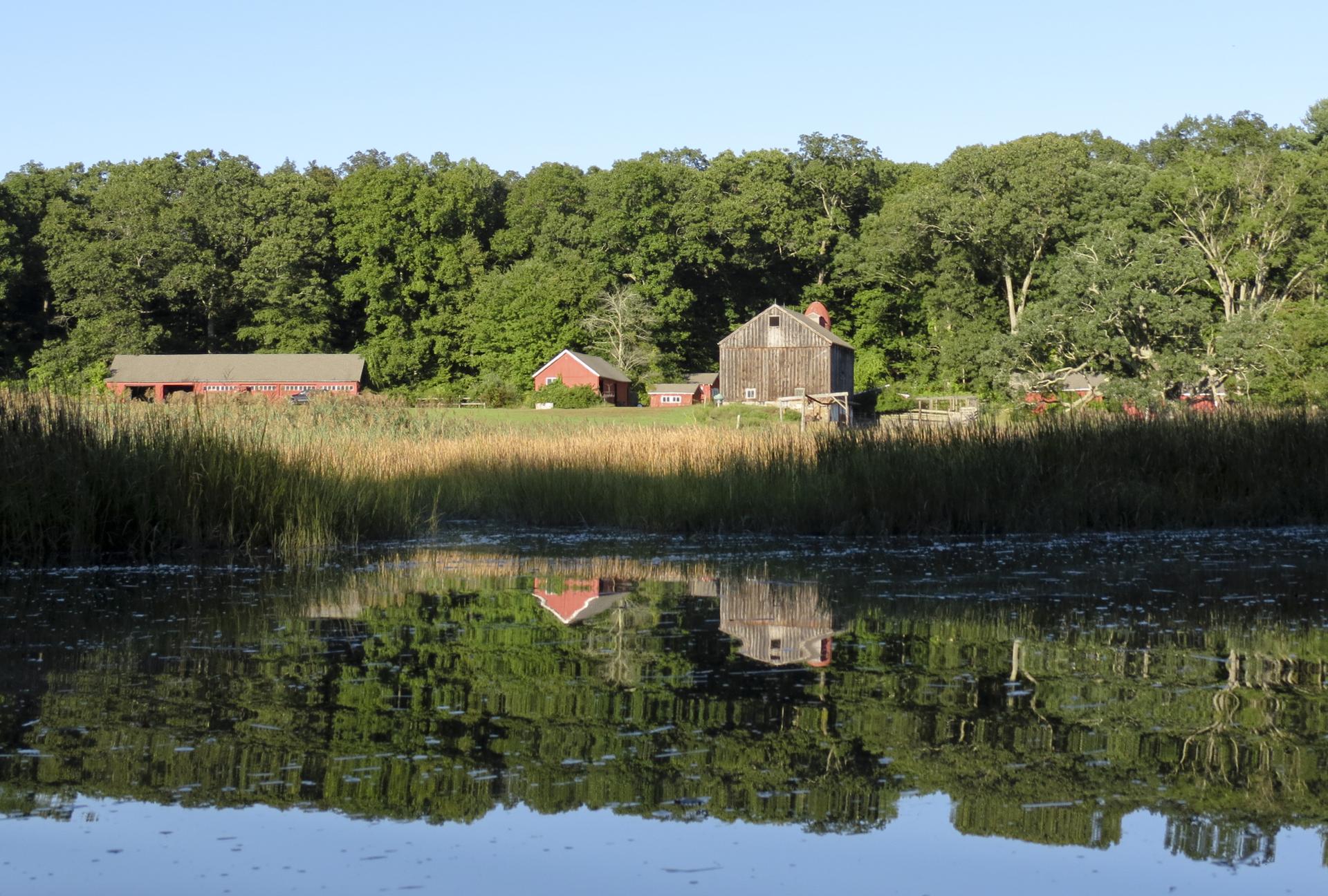 Rustic buildings and green forest reflected in calm water under bright sun.
