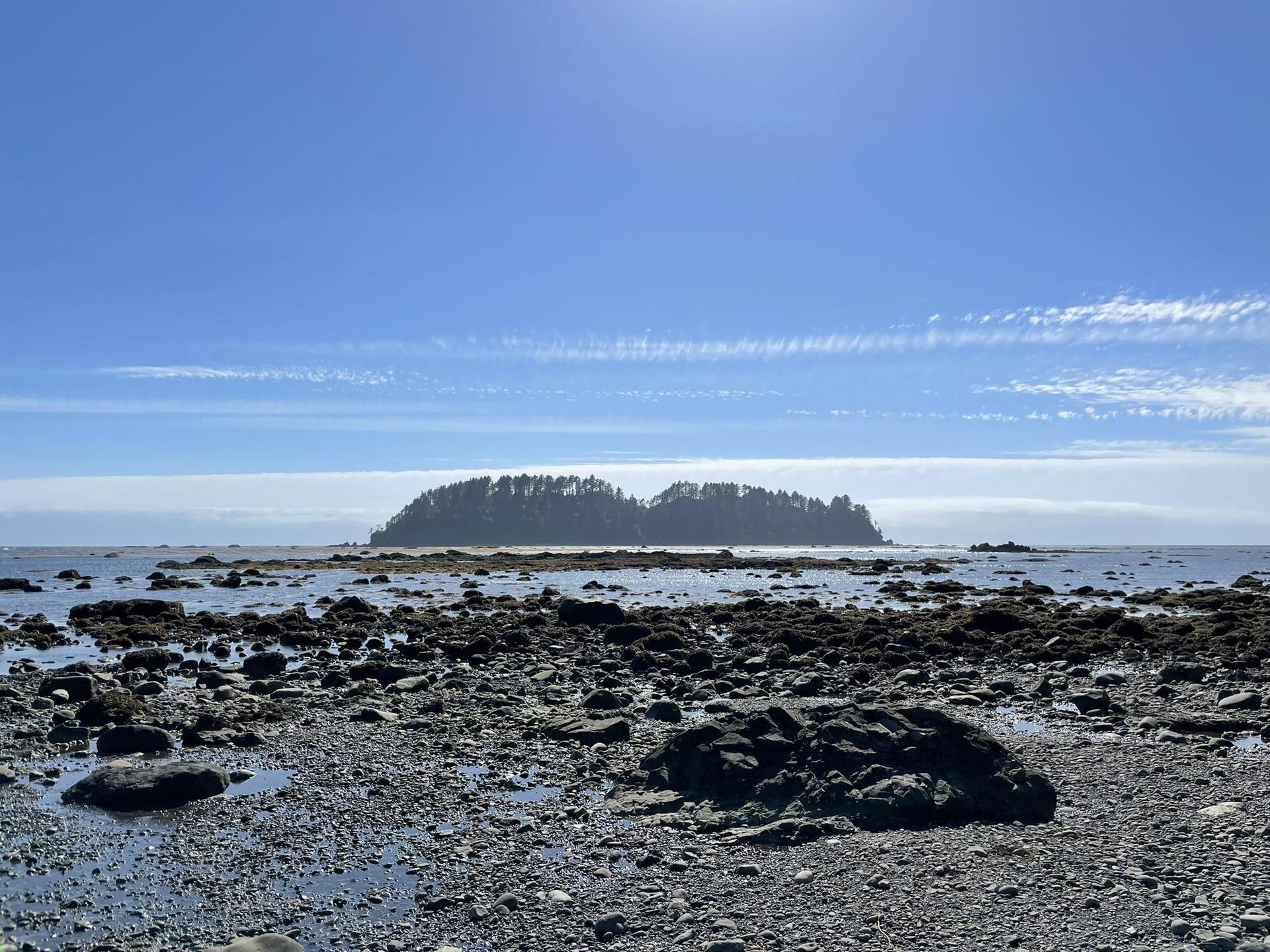 Sunny view of a rocky intertidal zone leading to a forested island.