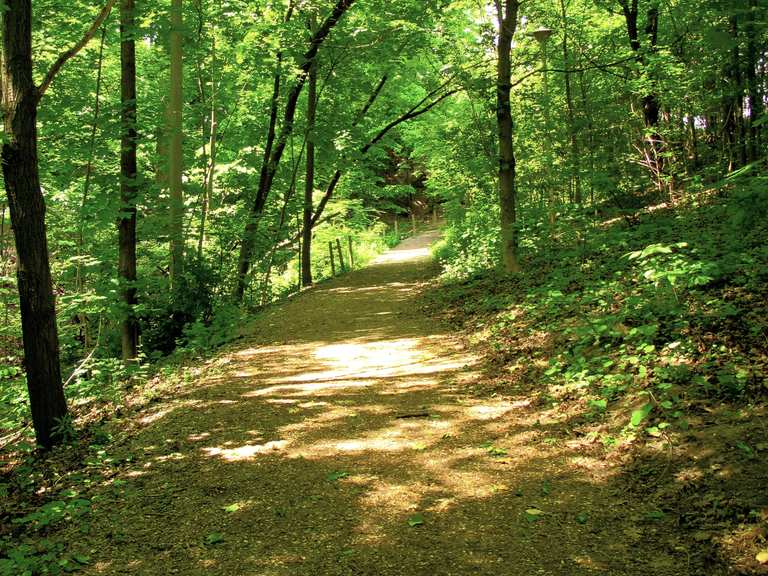 Cedarvale Ravine Trail — Toronto | wandeling | Komoot