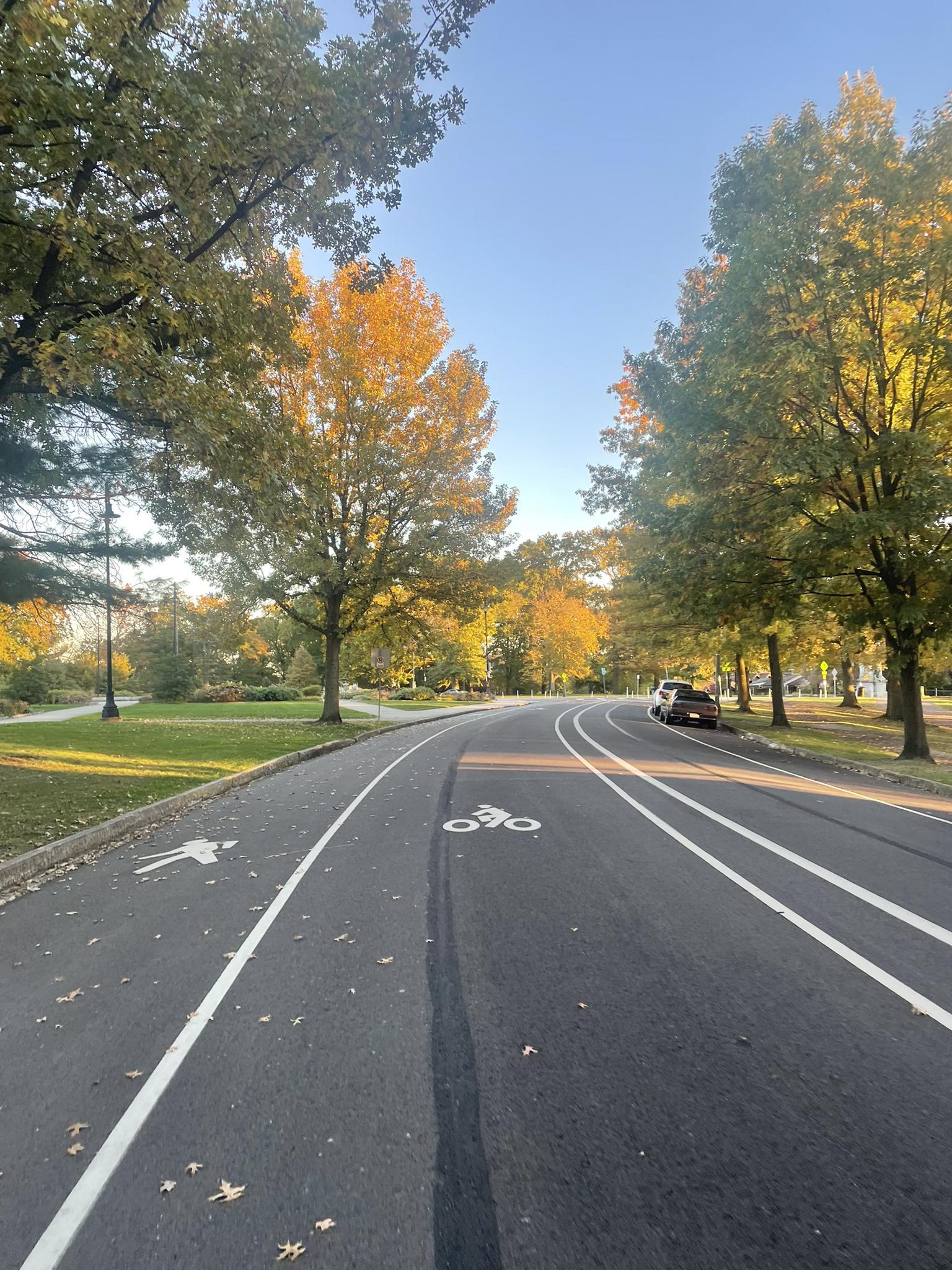 Paved path with walking and cycling lanes under sunny autumn trees.
