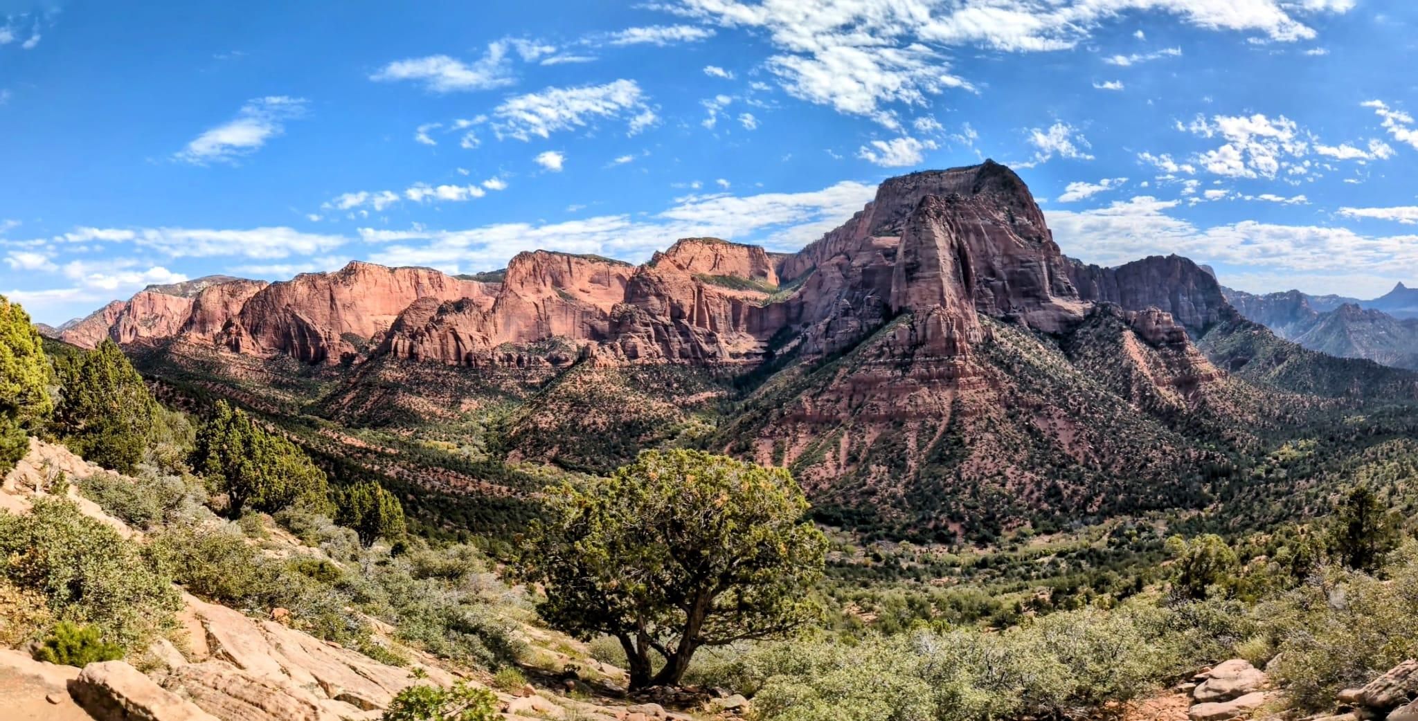 Panoramic view of vast red rock mountains and green valleys under a blue sky. - Kolob Canyon Scenic Drive