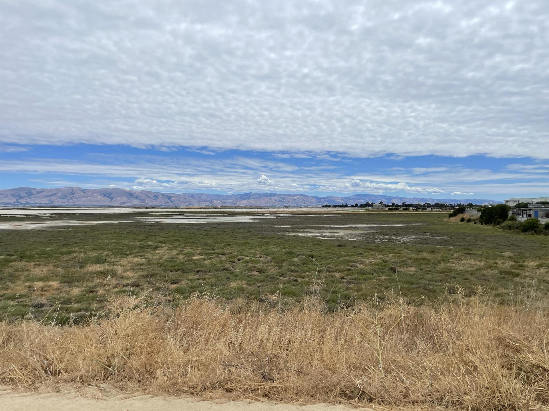 Vast marshland stretches under a partly cloudy sky with distant mountains.