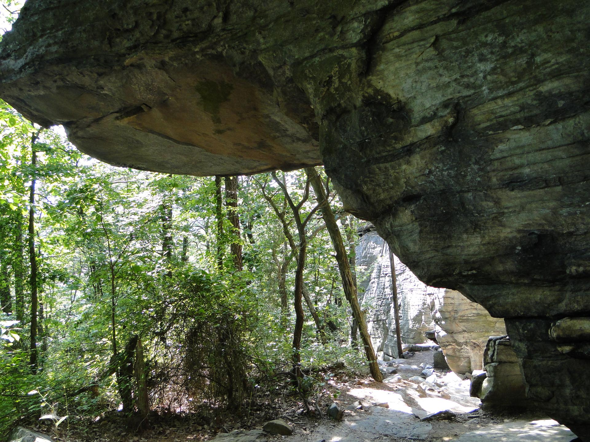 Large rock overhang shelters a forest path with dappled sunlight.