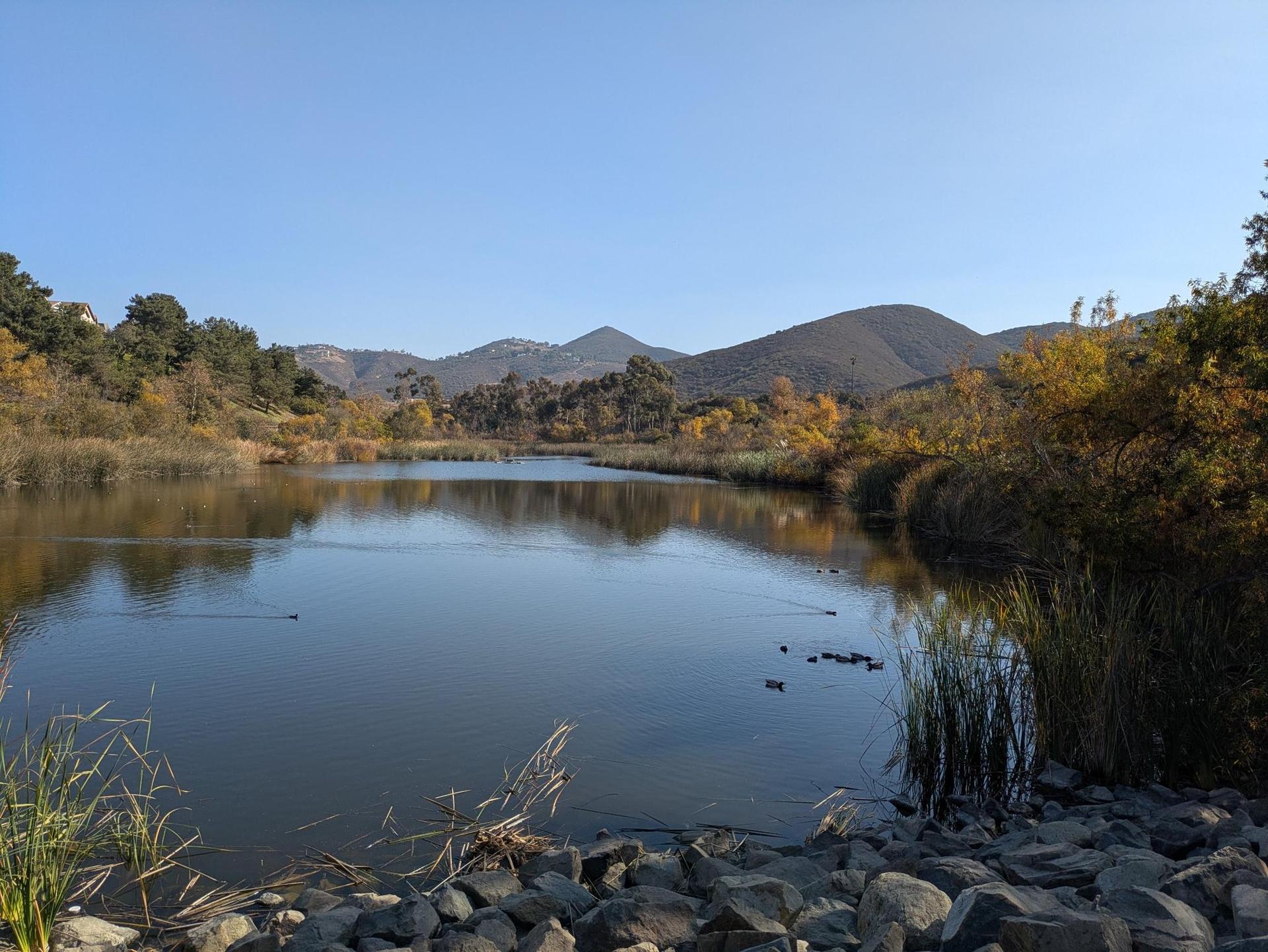 Wide view of a calm lake with ducks, surrounded by hills and autumn trees.
