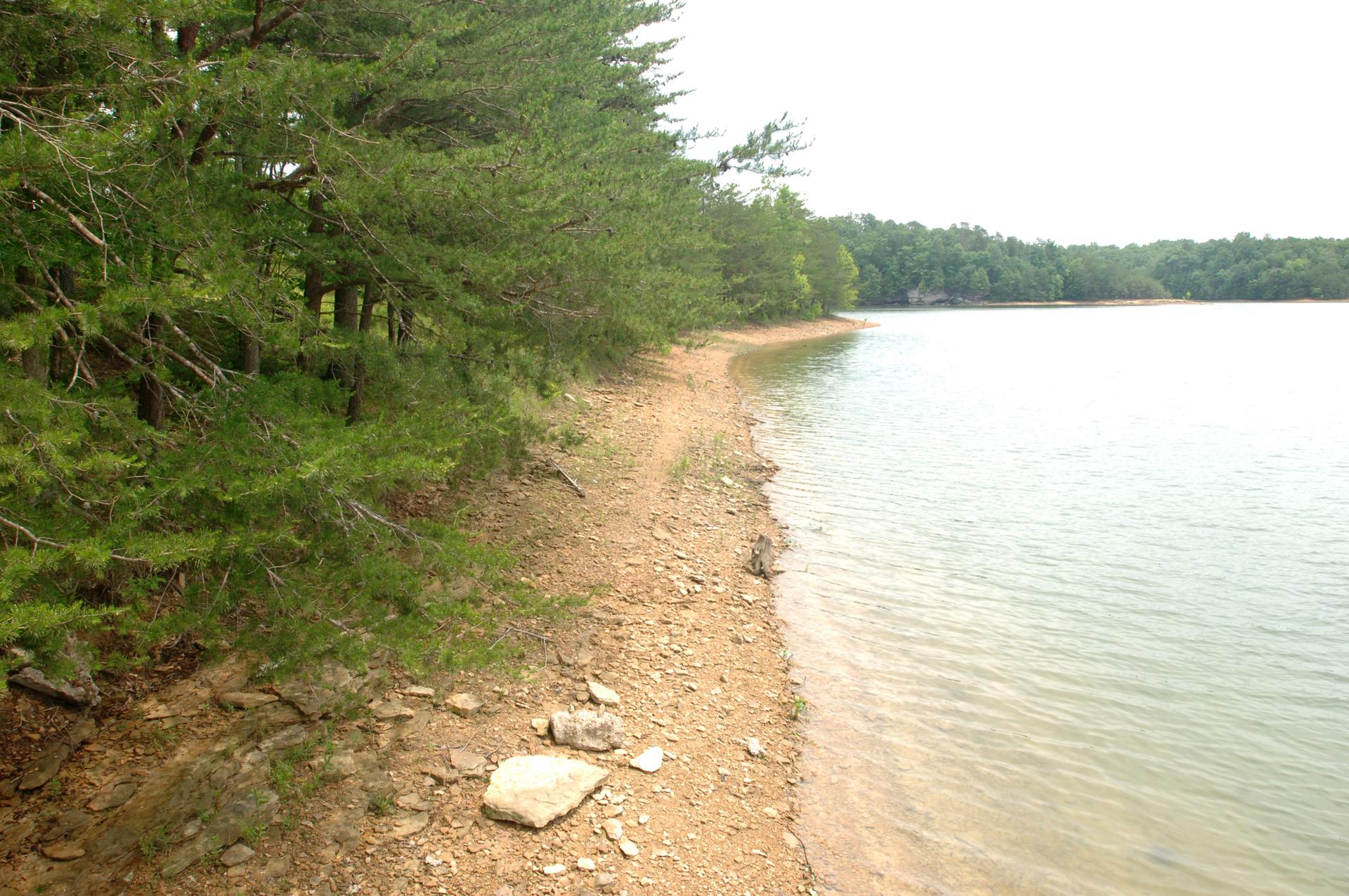 Pine trees line a rocky, sandy lake shore under bright, overcast light.