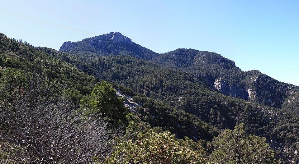 Sunlit, rugged mountains covered in dense green forests under a clear blue sky.