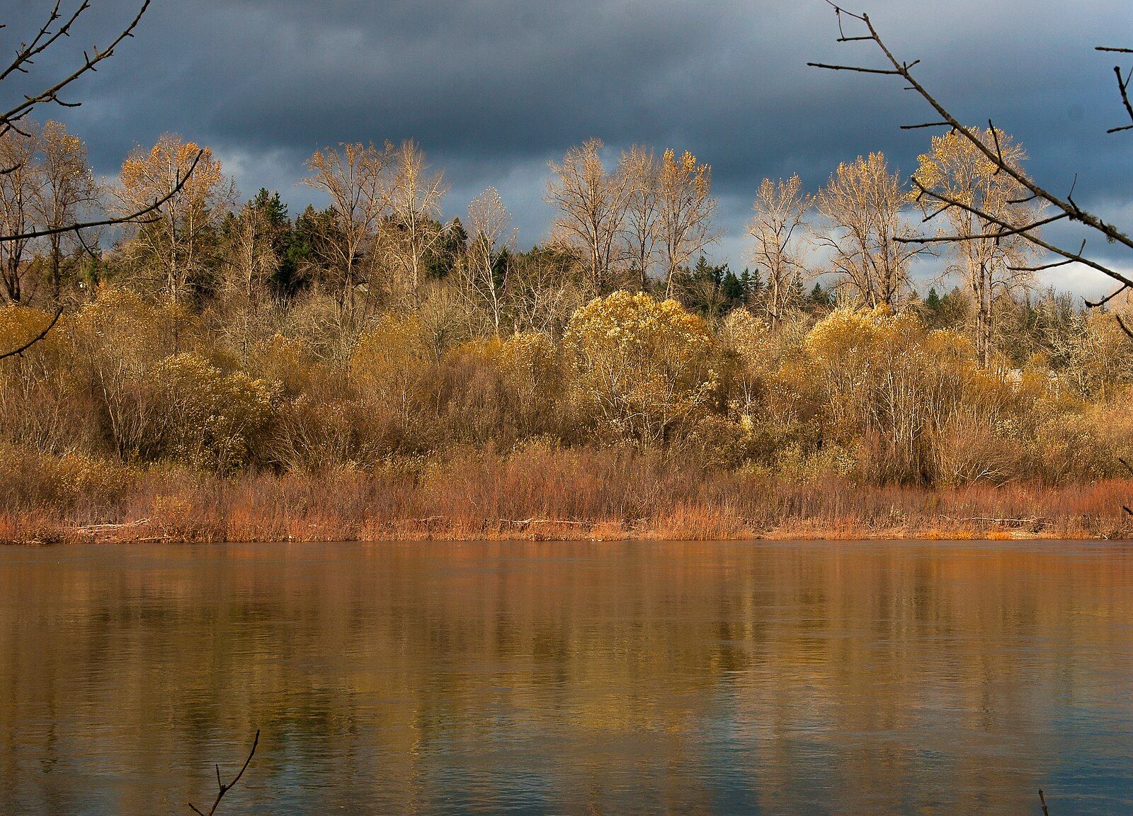 Autumn trees with golden foliage line a river under a dramatic, cloudy sky. - Willamette Valley Scenic Bikeway Loop
