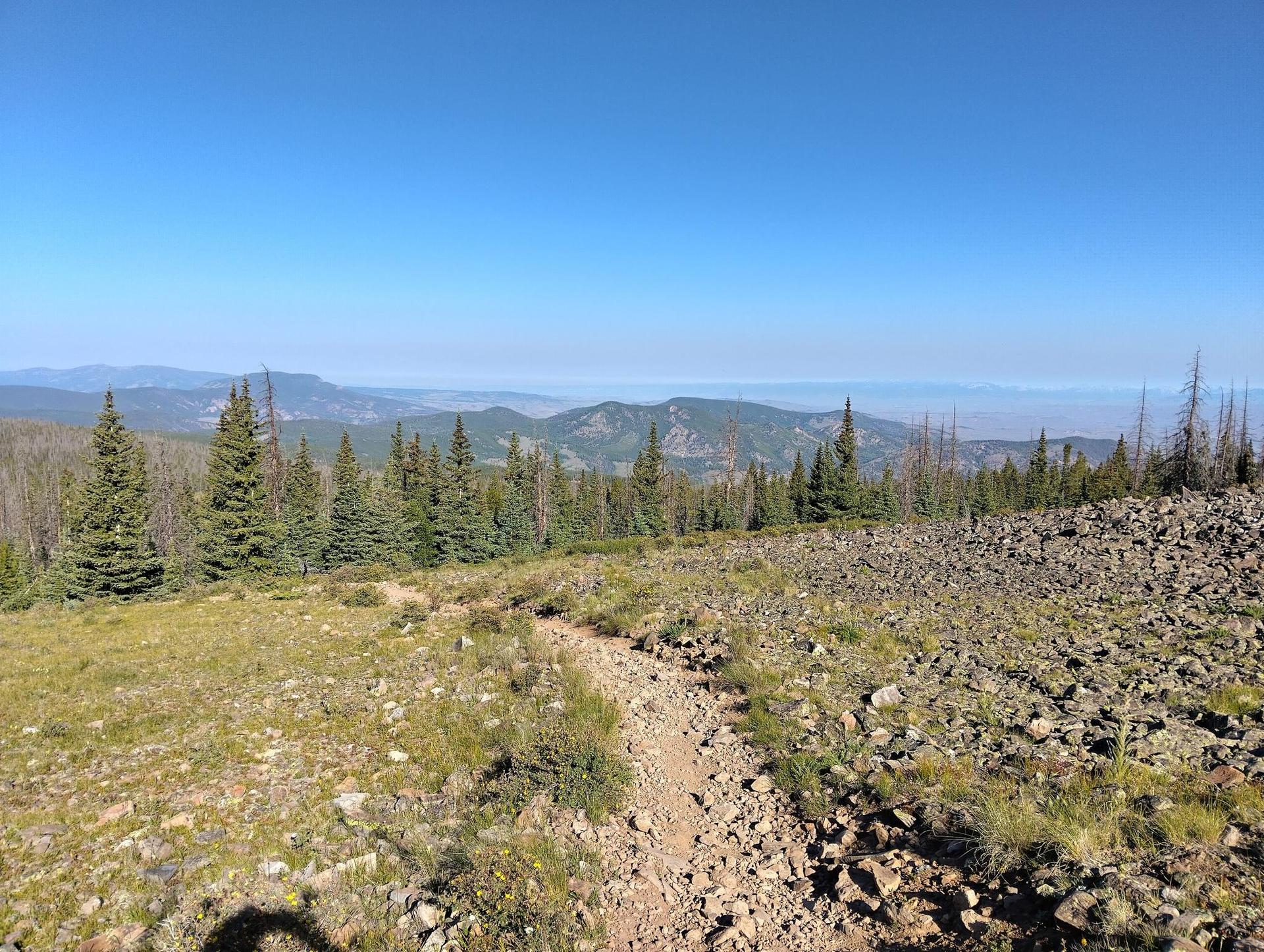 A rocky dirt trail winding through a sunny, forested mountain landscape.